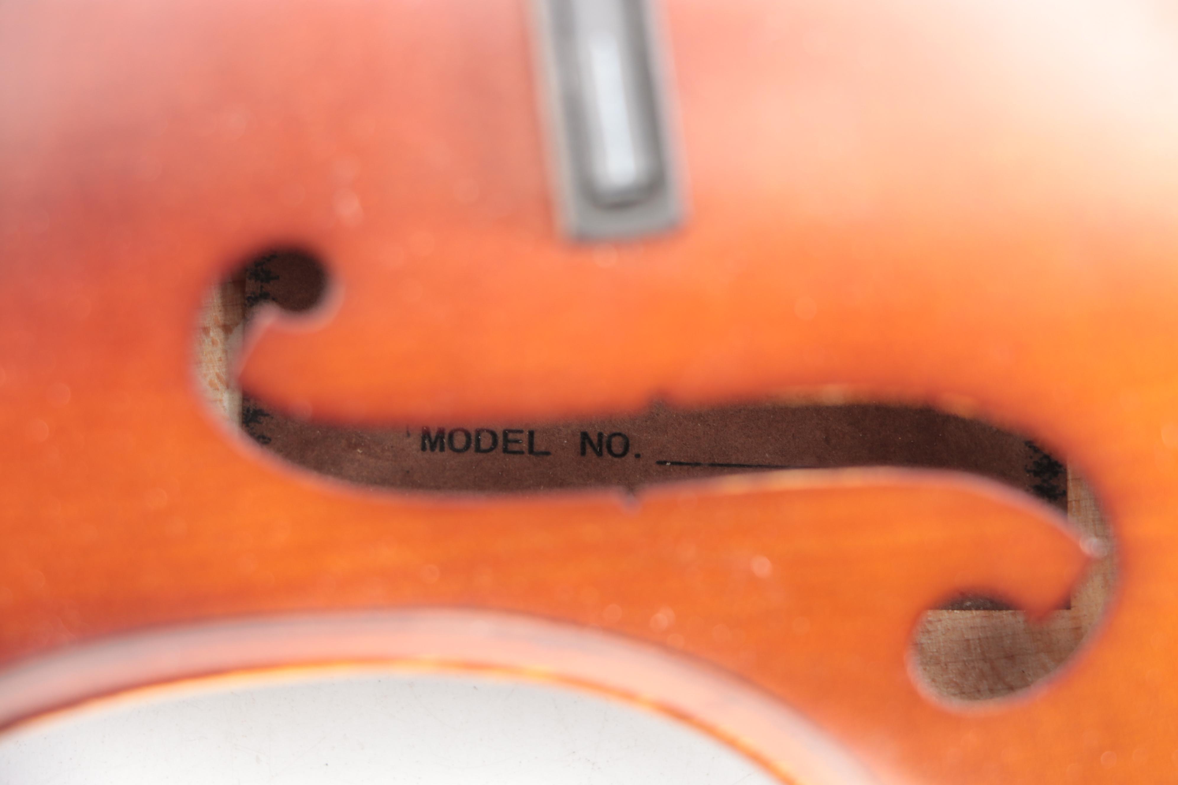 Rossetti Acoustic Electric Violin with Canvas and Velour Coffin Case