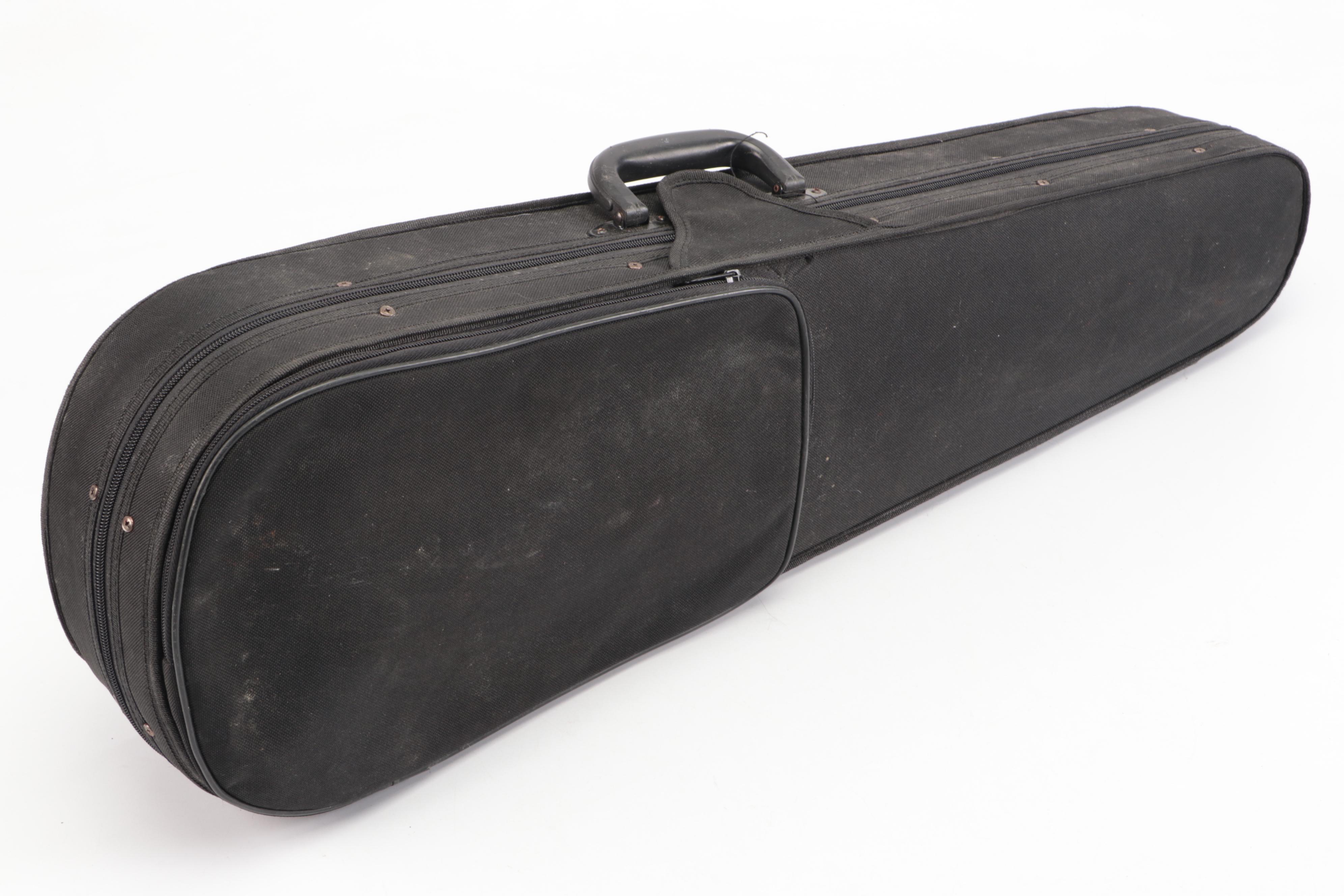 Rossetti Acoustic Electric Violin with Canvas and Velour Coffin Case