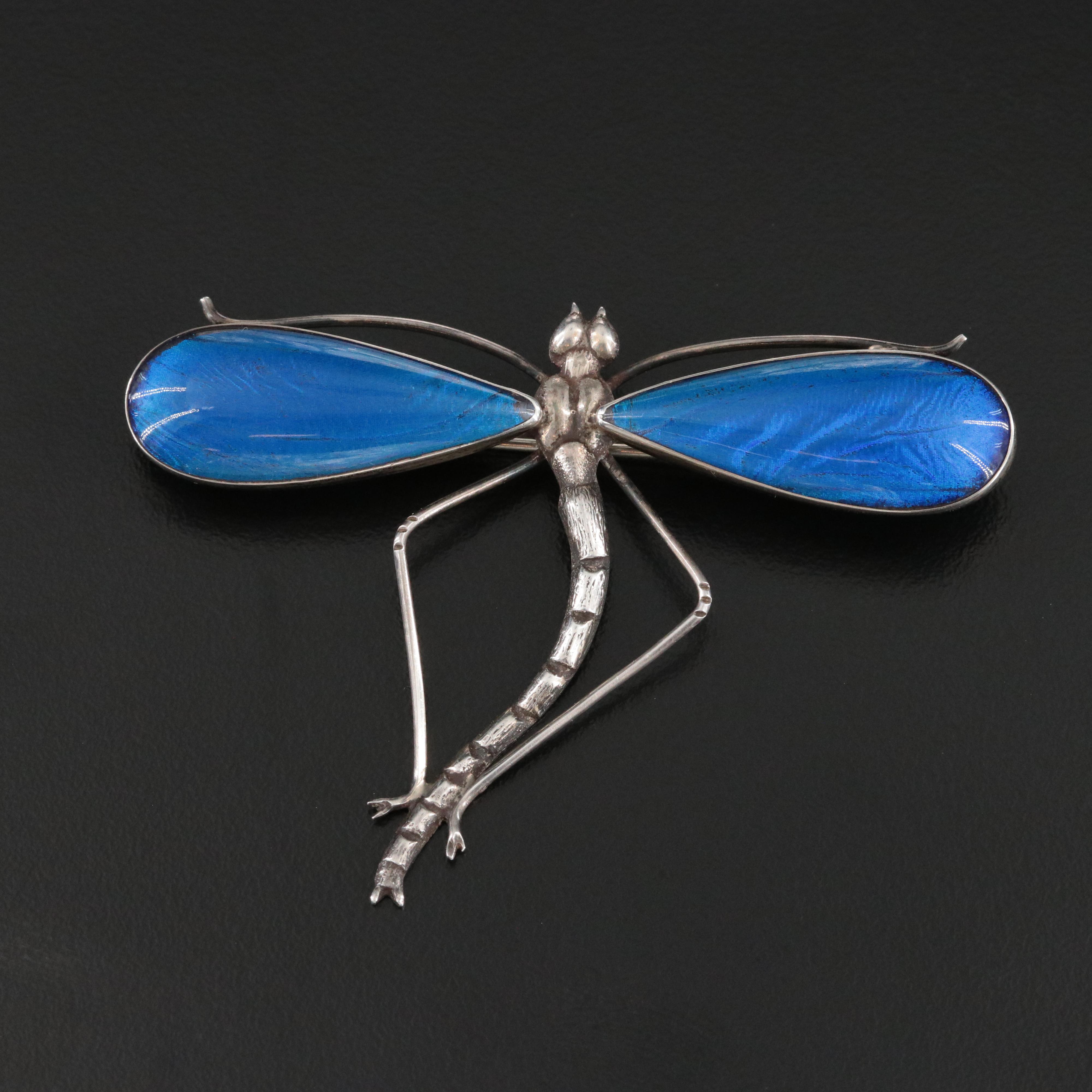 Antique Morpho Butterfly Wings Dragon Fly Brooch