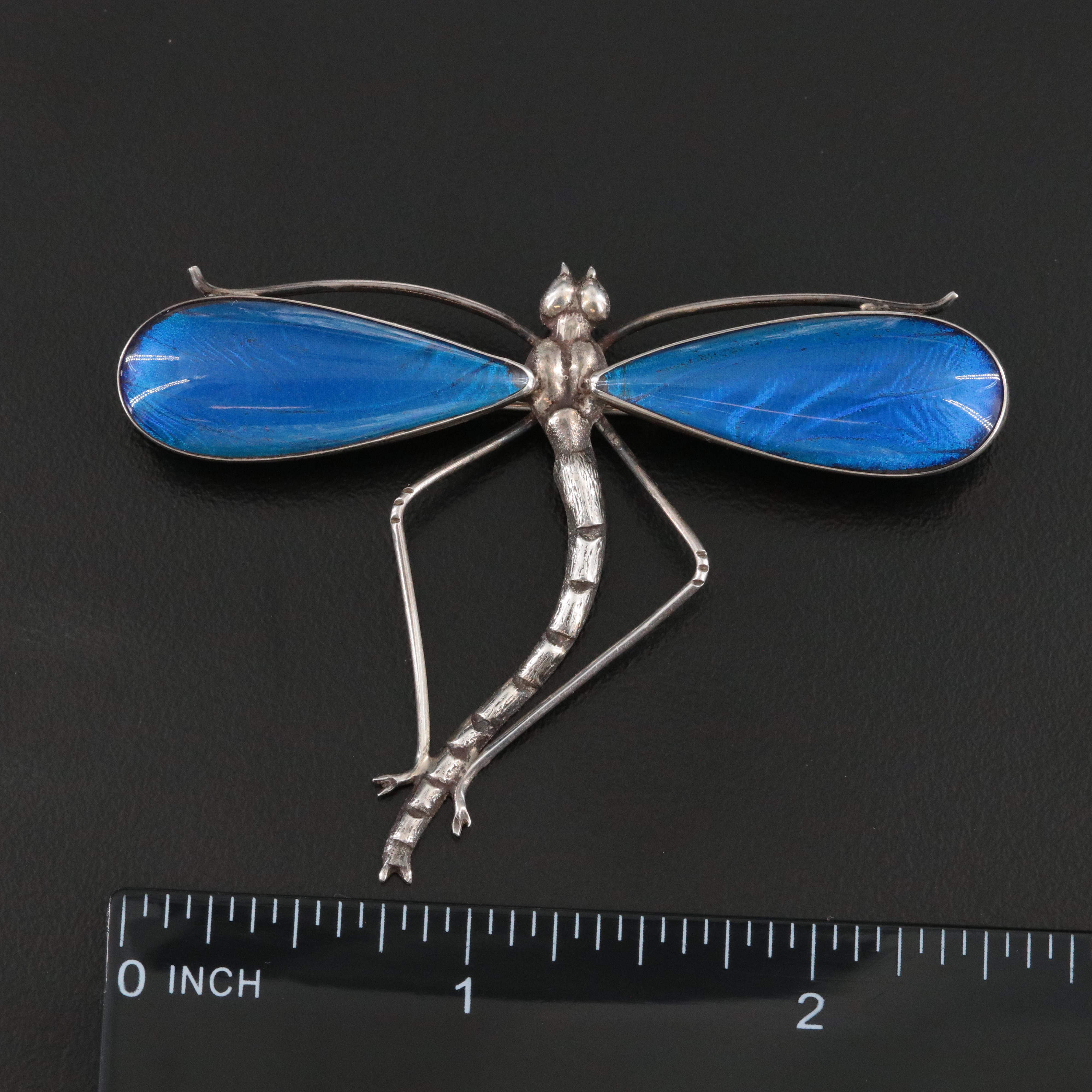 Antique Morpho Butterfly Wings Dragon Fly Brooch