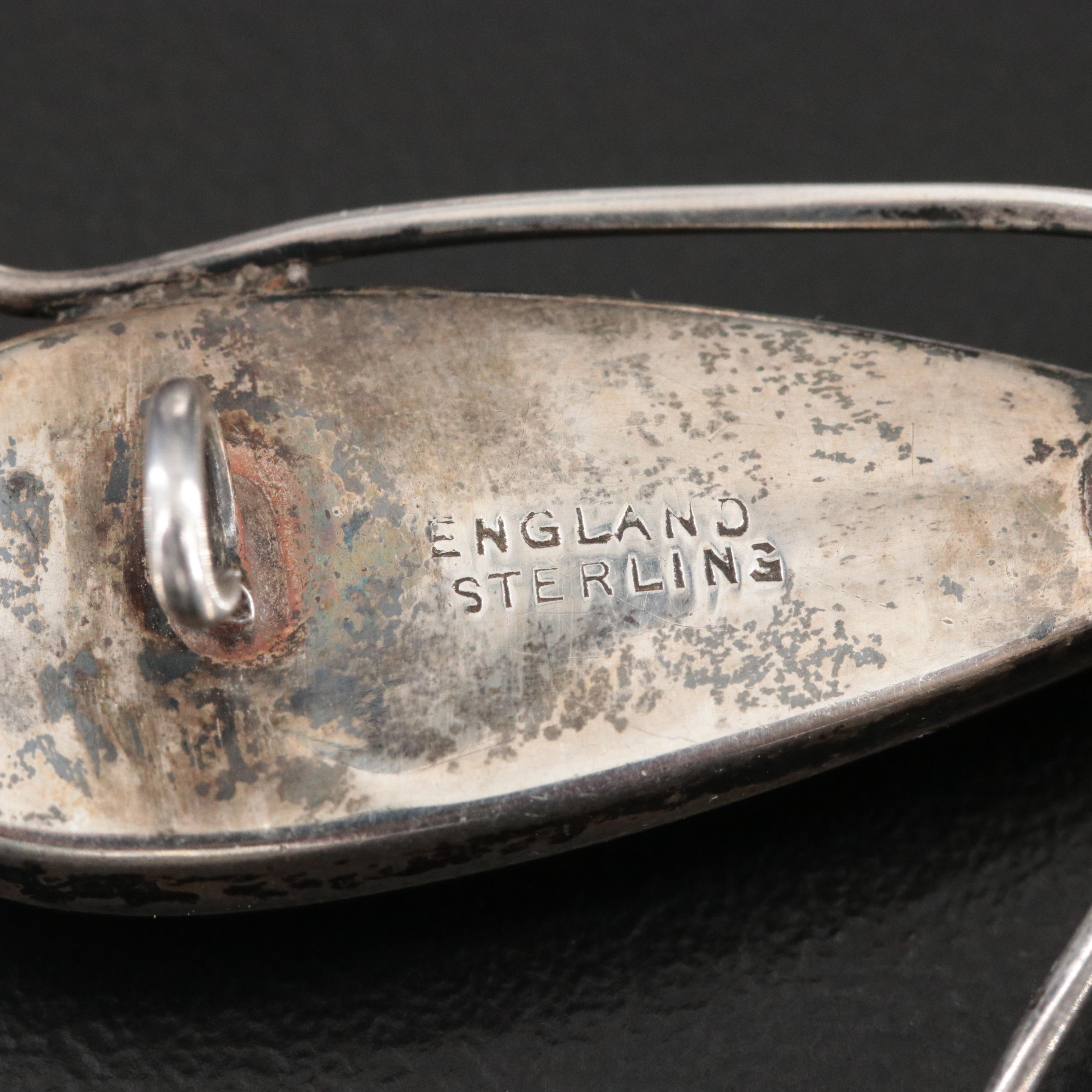 Antique Morpho Butterfly Wings Dragon Fly Brooch