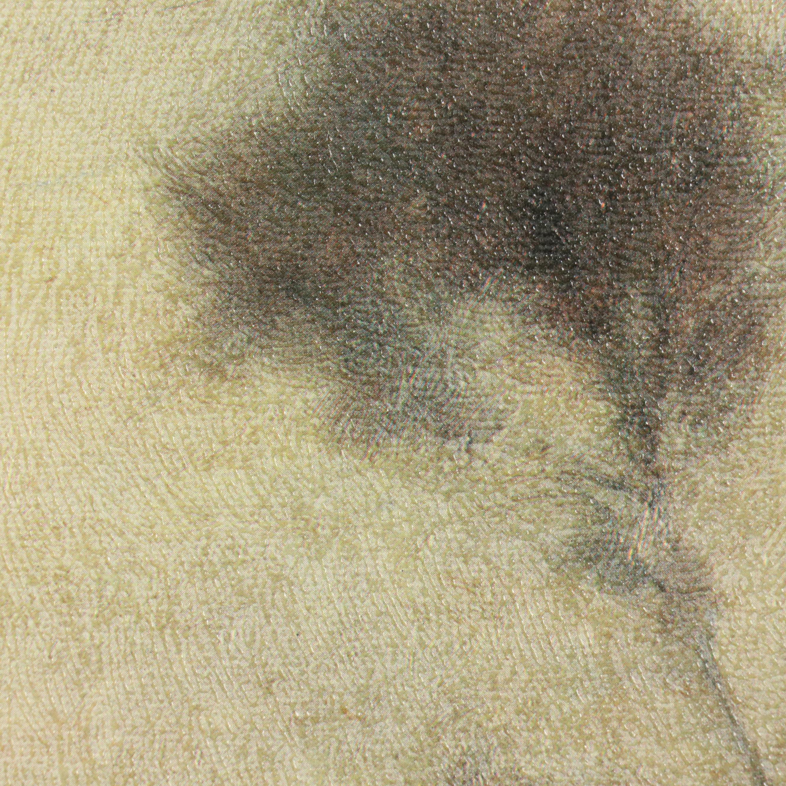 Pastoral Landscape Offset Lithograph, Late 20th Century