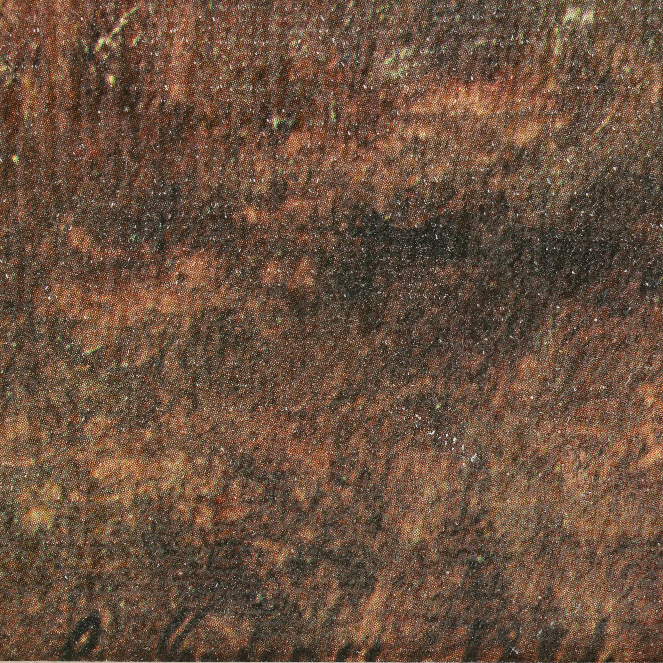 Pastoral Landscape Offset Lithograph, Late 20th Century