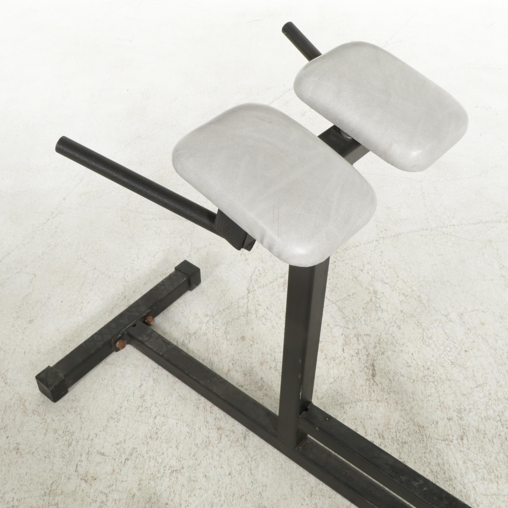 Horizontal Roman Chair with 40lb Free Weights