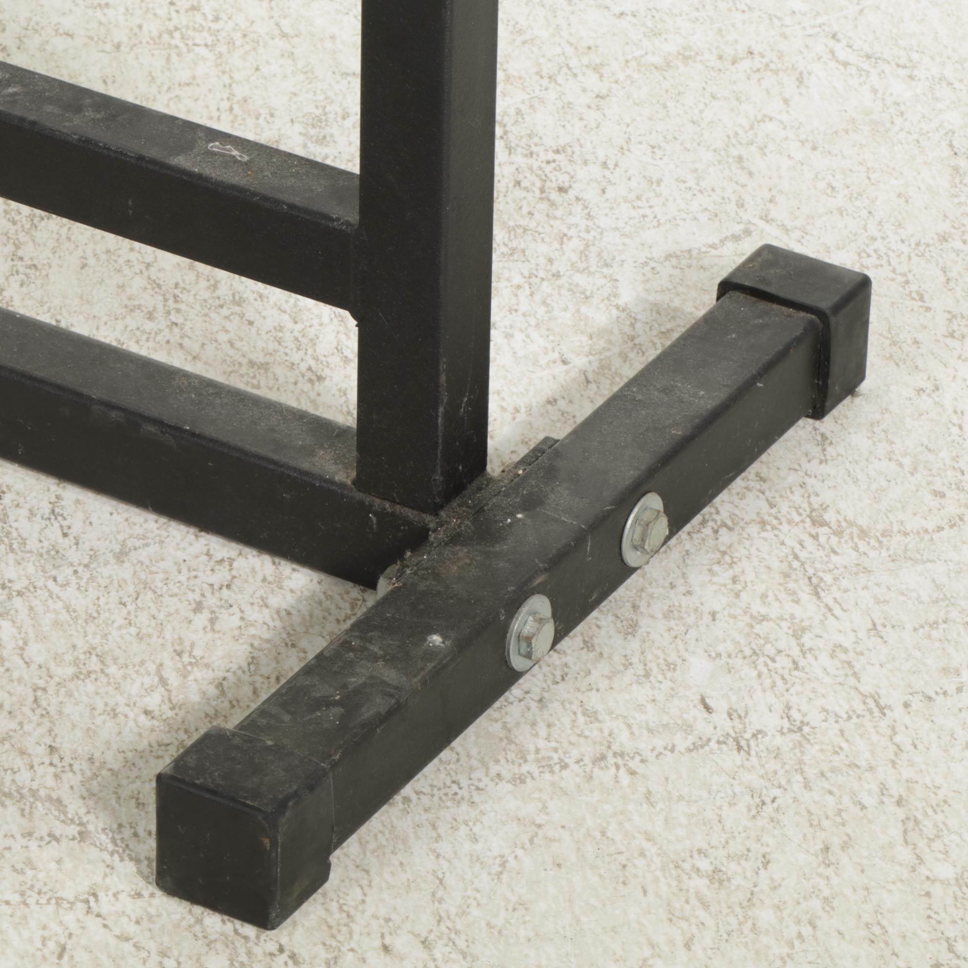 Horizontal Roman Chair with 40lb Free Weights