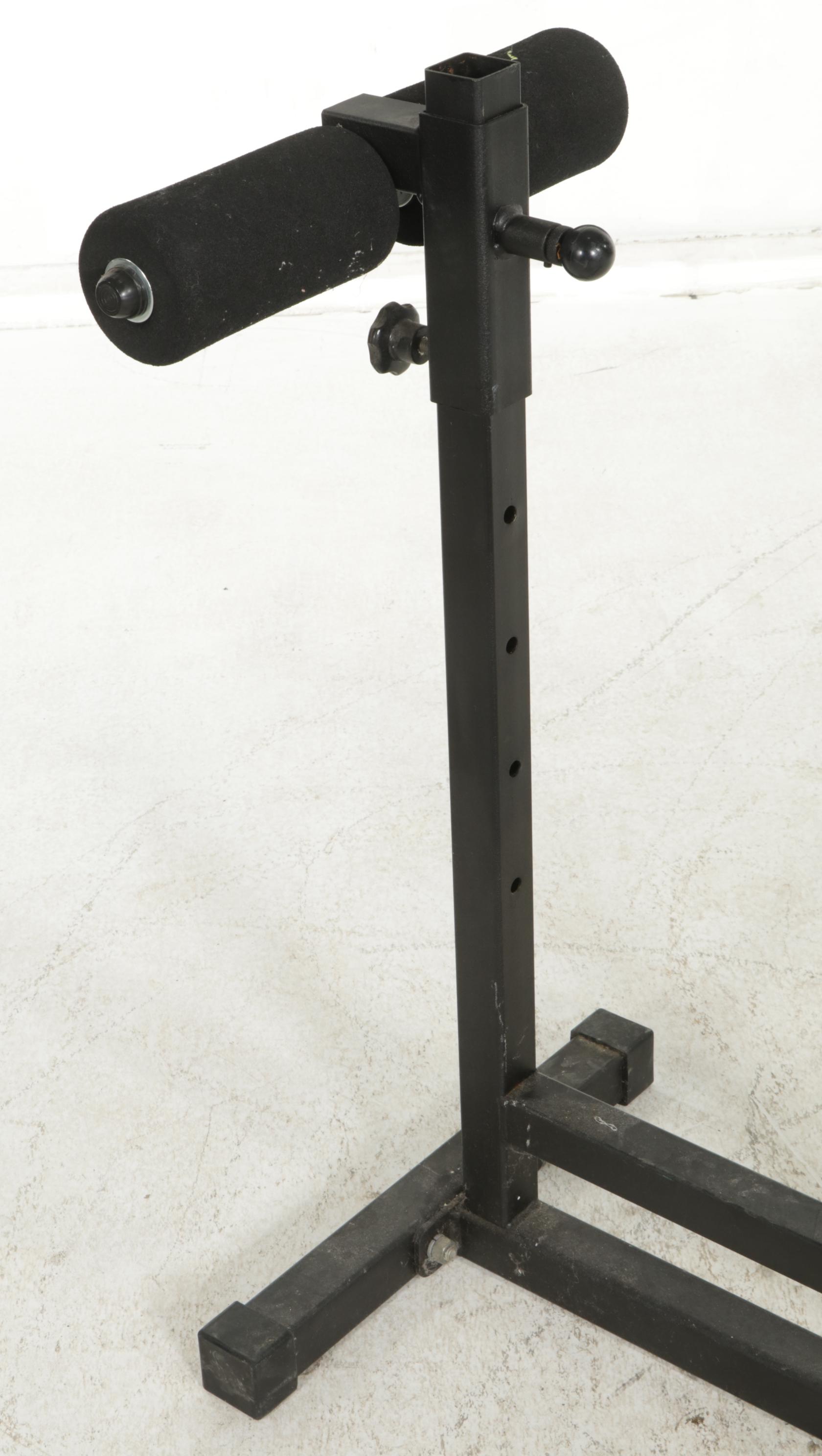 Horizontal Roman Chair with 40lb Free Weights