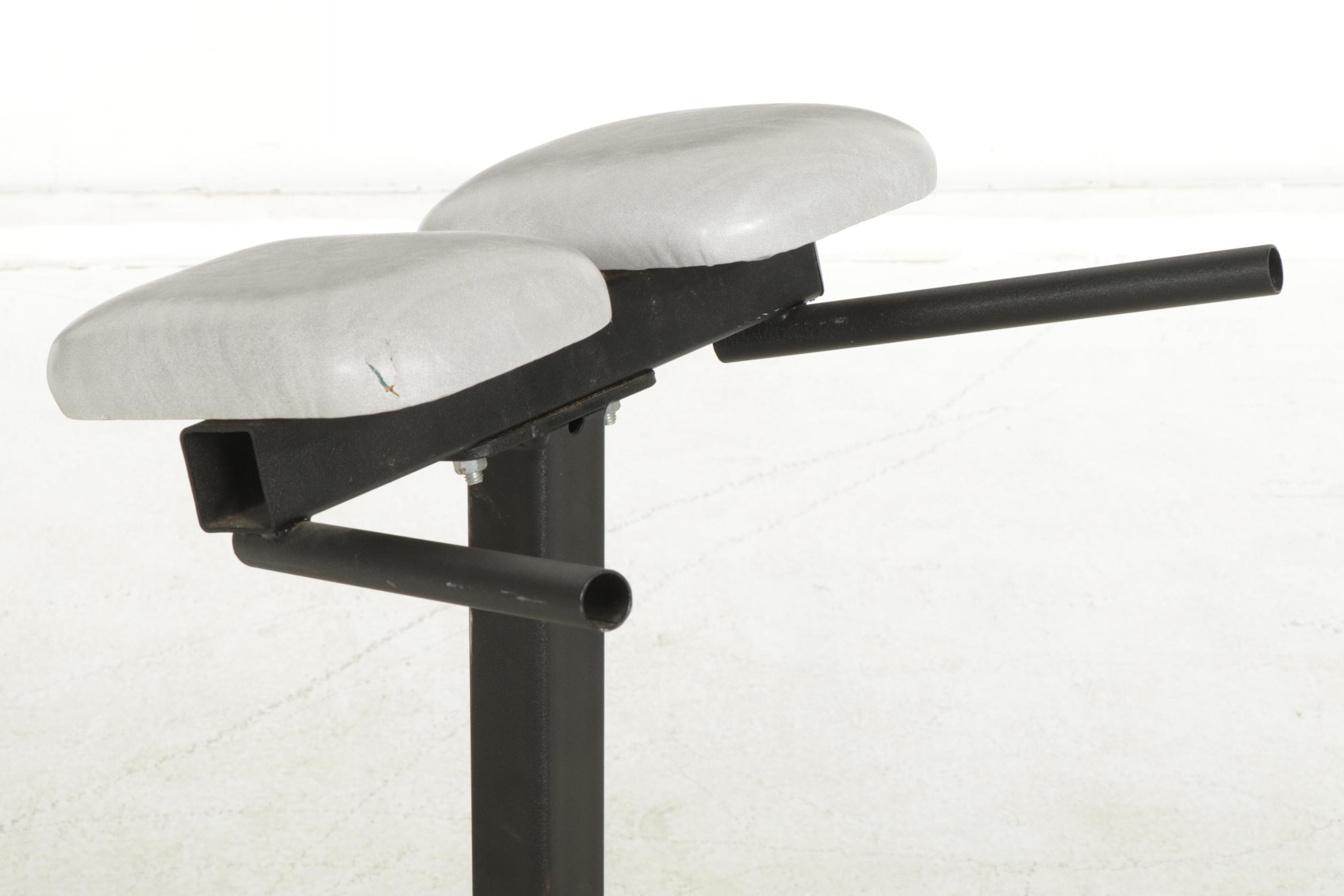 Horizontal Roman Chair with 40lb Free Weights