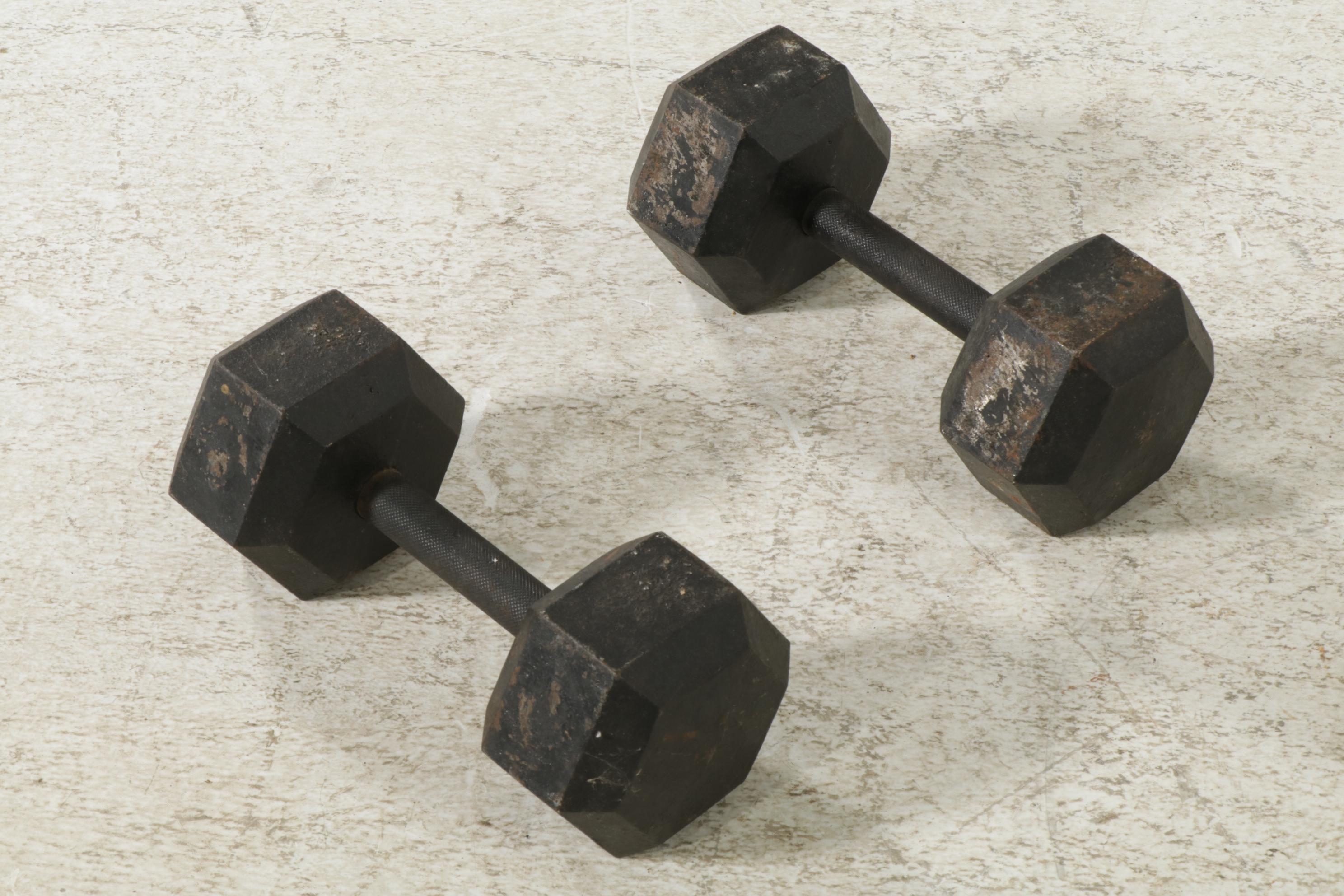 Horizontal Roman Chair with 40lb Free Weights