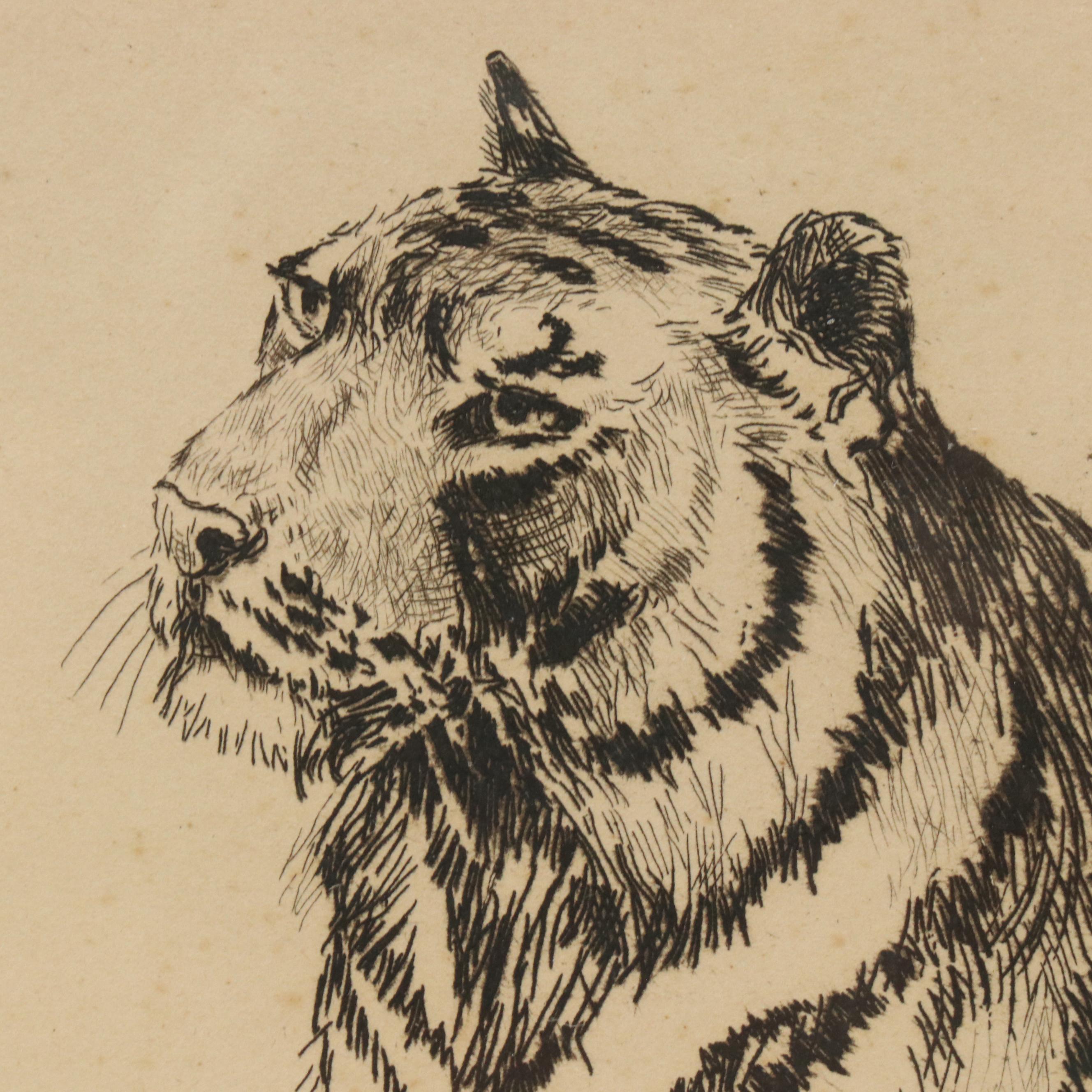 Frederick Stuart Church Etching "Tiger and Bird," 1892