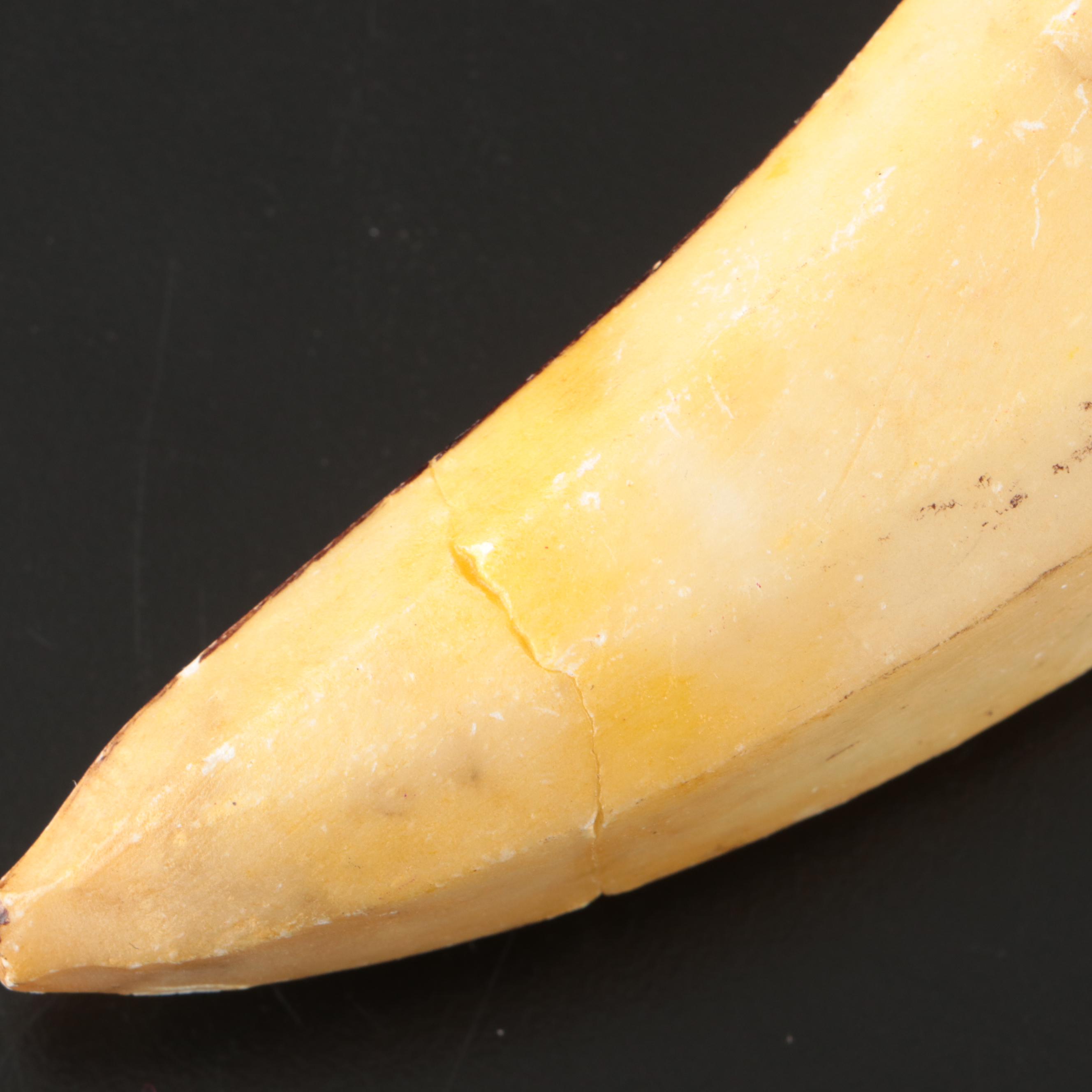 Stone and Ceramic Fruit with American Brilliant Style Pinwheel Crystal Bowl
