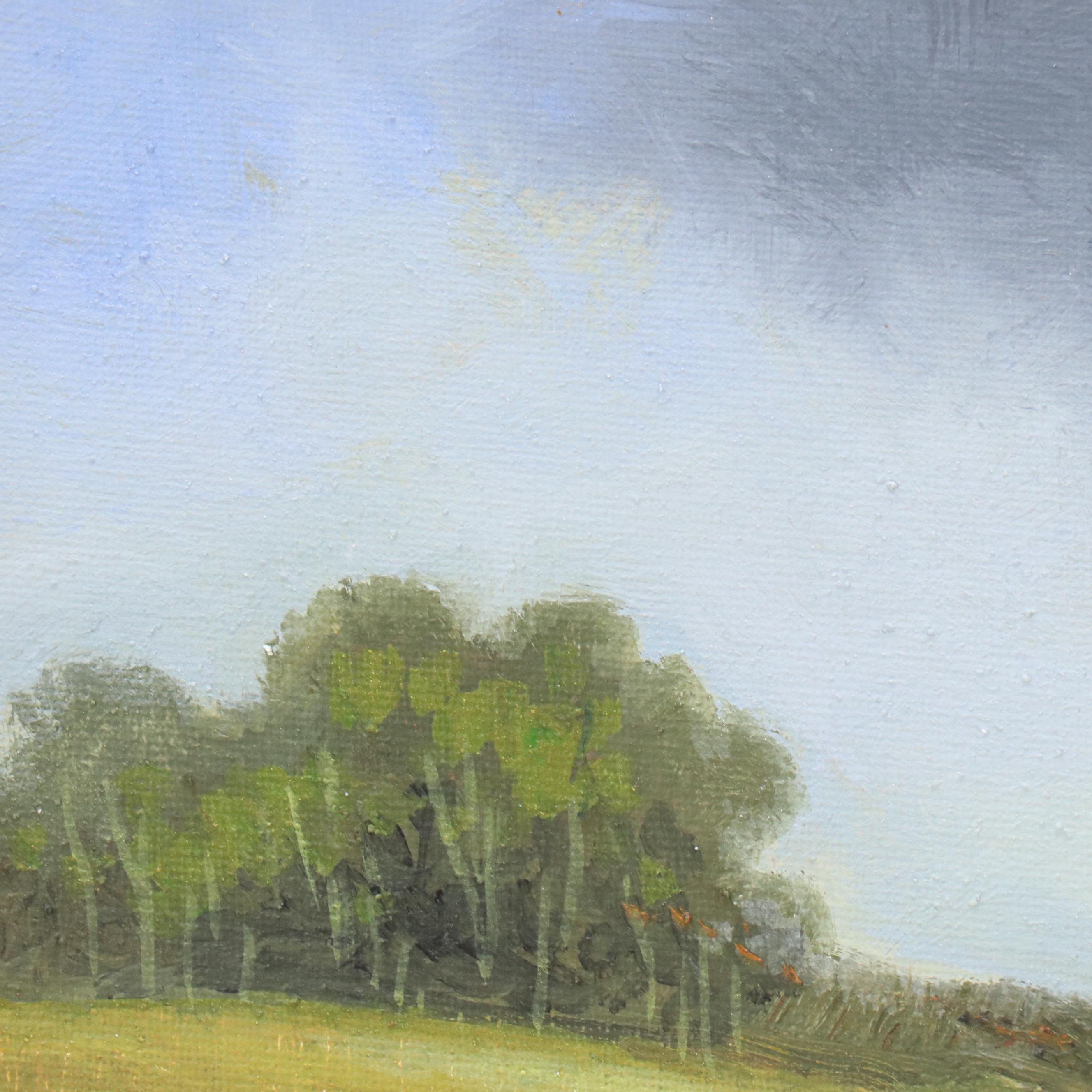 Sulmaz H. Radvand Landscape Oil Painting