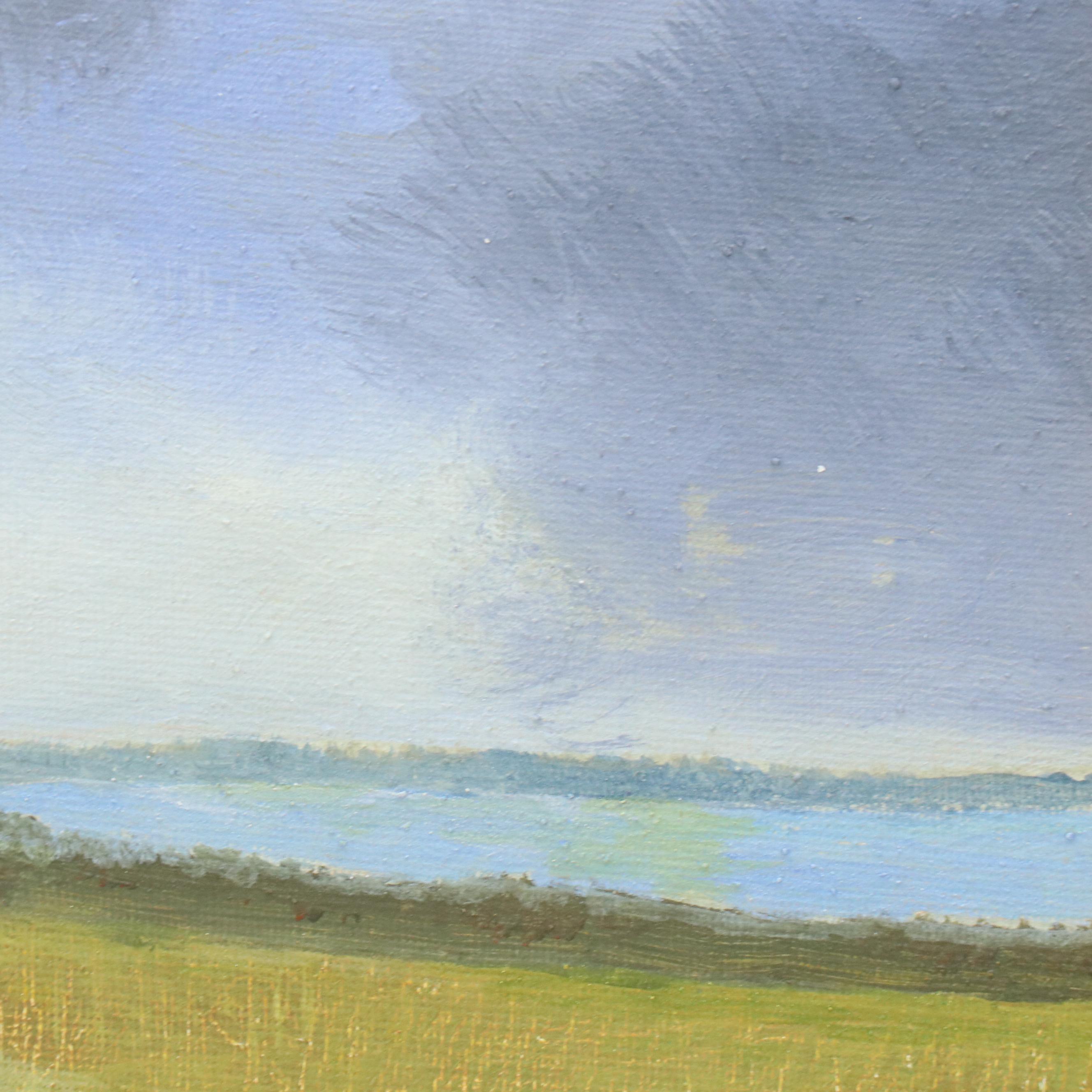 Sulmaz H. Radvand Landscape Oil Painting