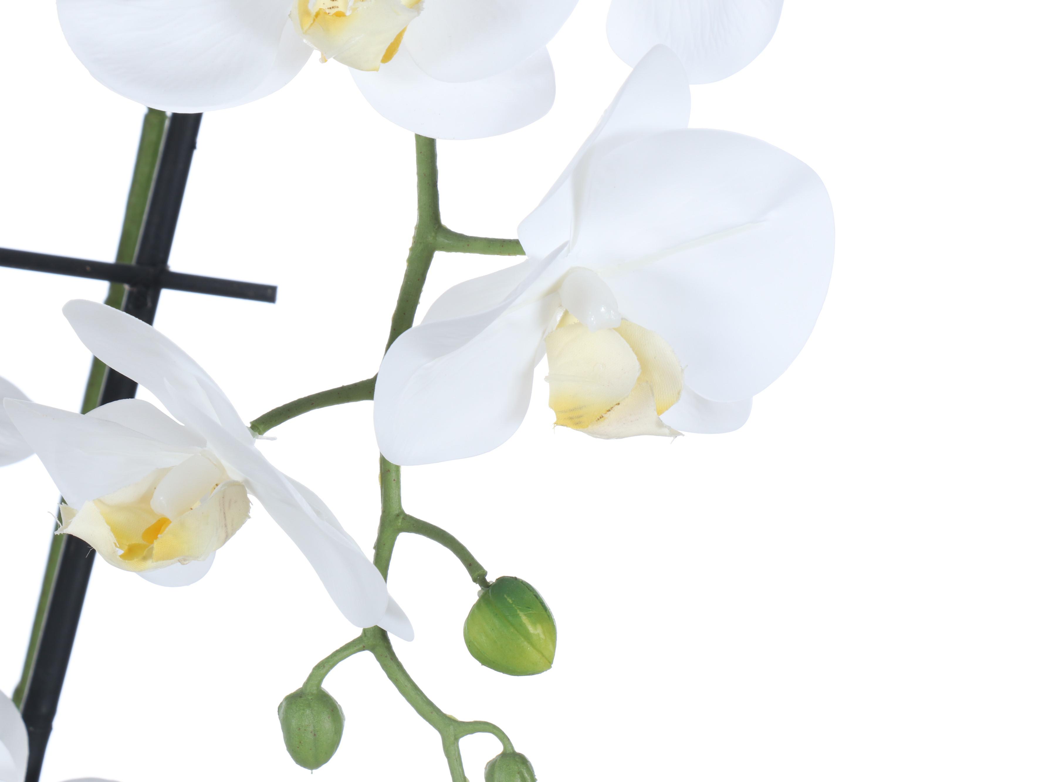 Artificial Orchids with RRP Co. Ceramic Planters