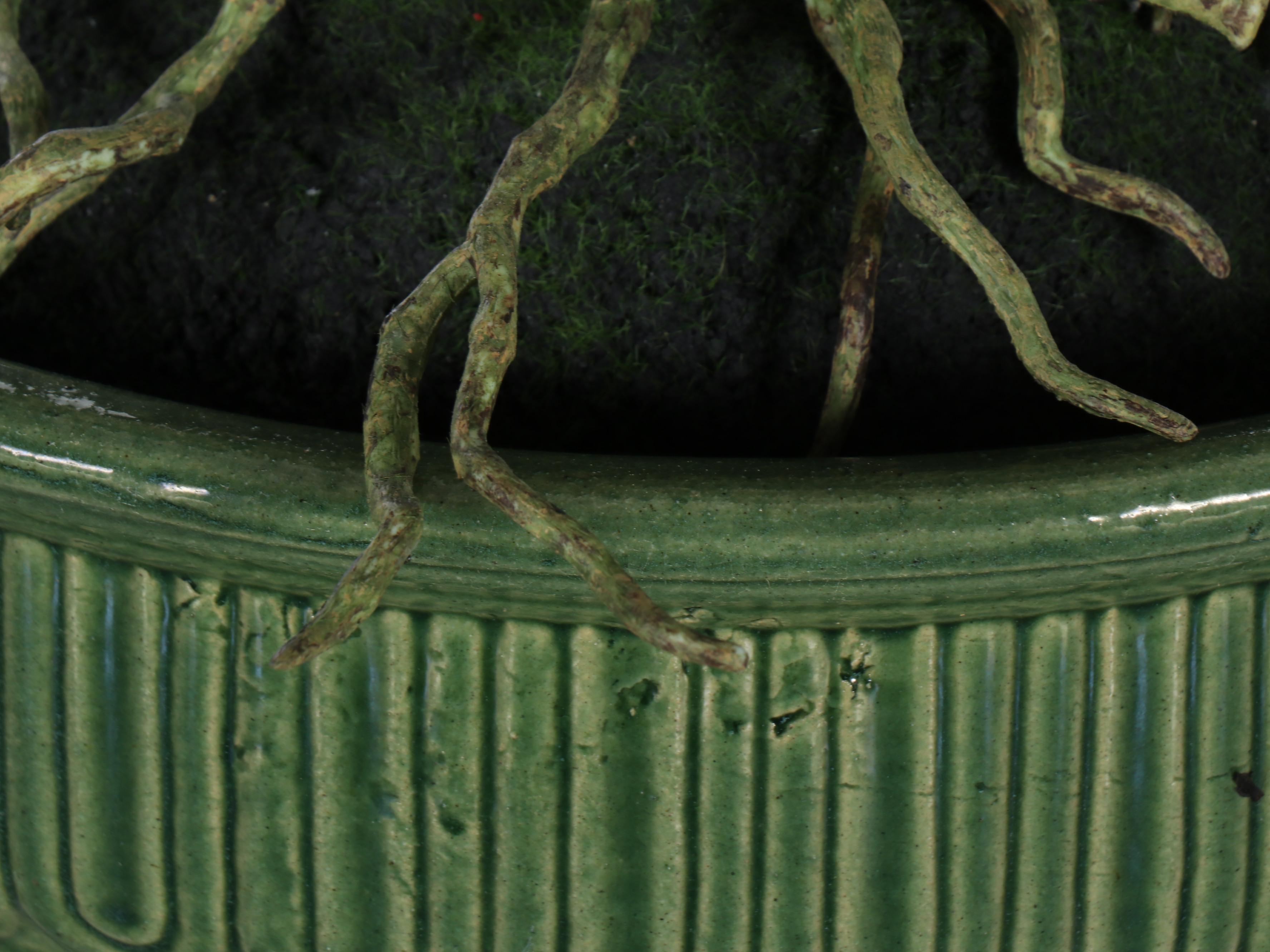 Artificial Orchids with RRP Co. Ceramic Planters