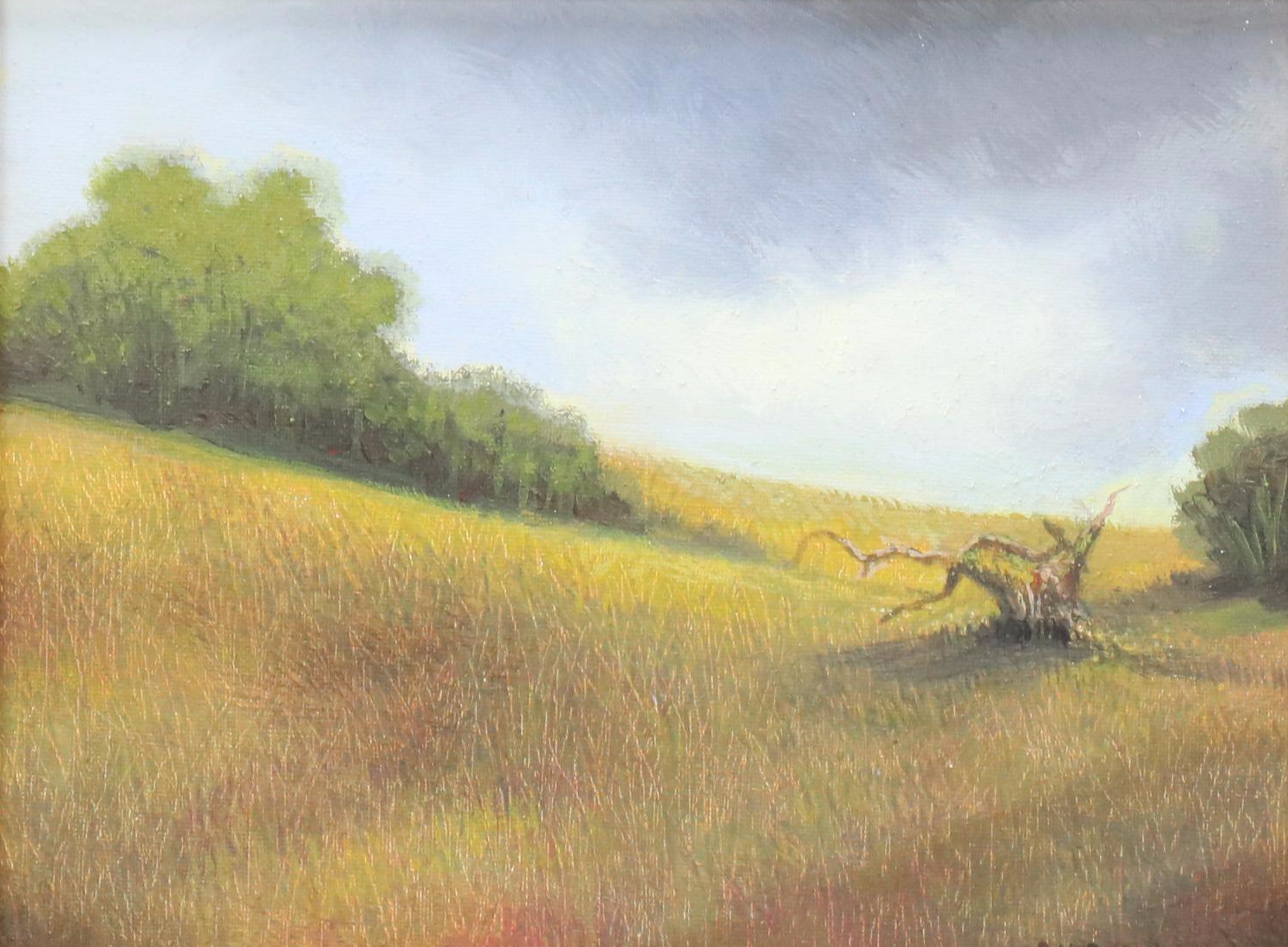 Sulmaz H. Radvand Landscape Oil Painting