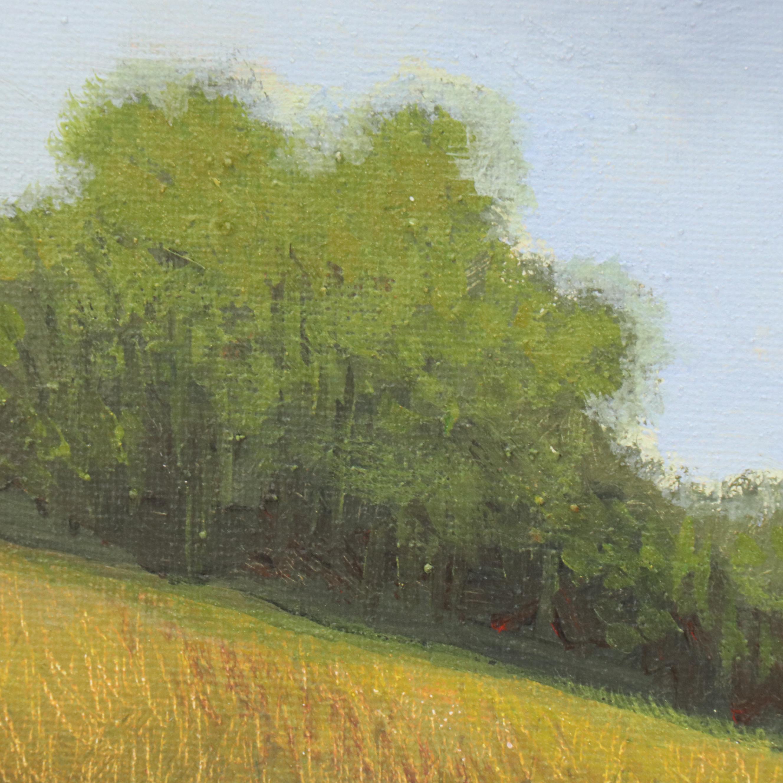 Sulmaz H. Radvand Landscape Oil Painting