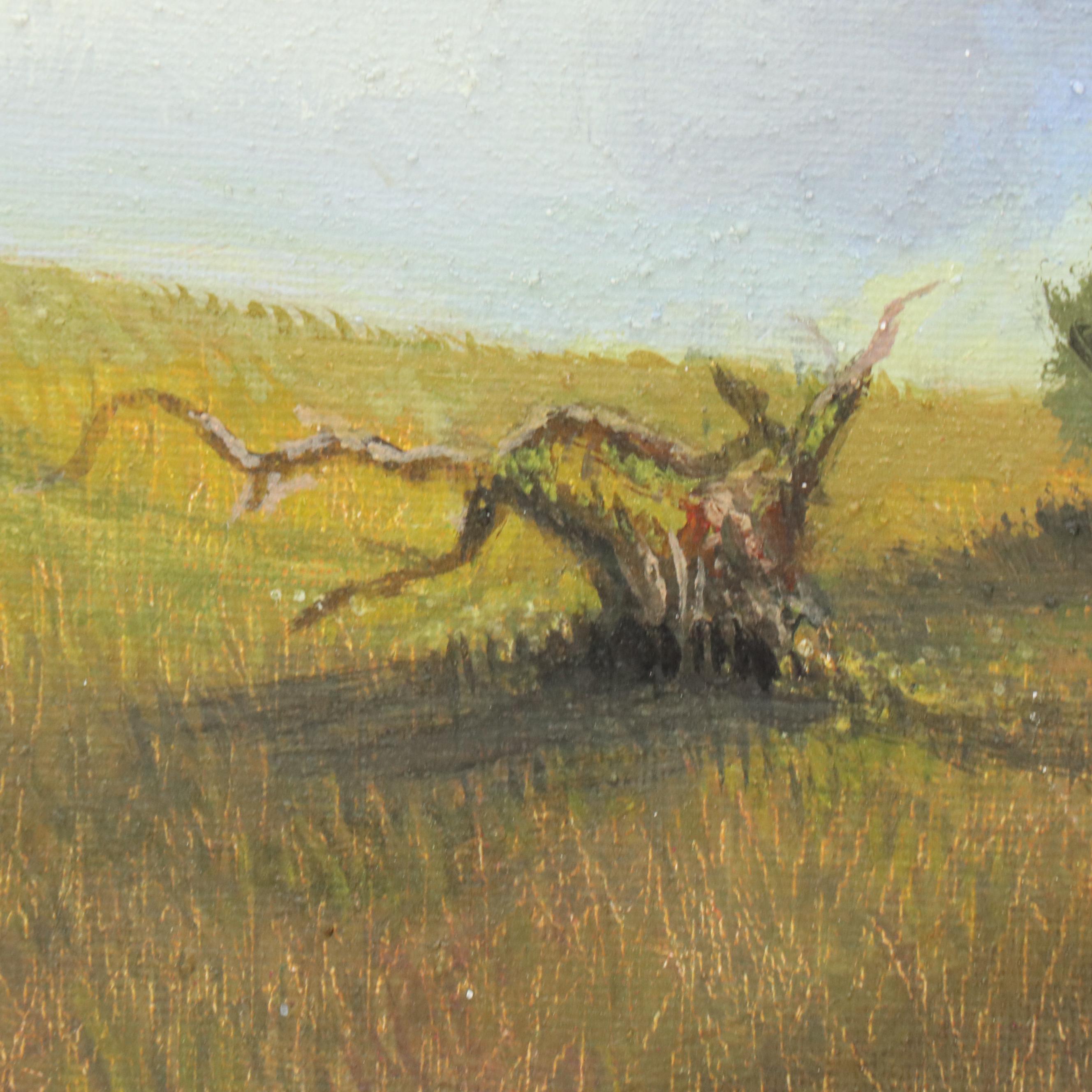 Sulmaz H. Radvand Landscape Oil Painting