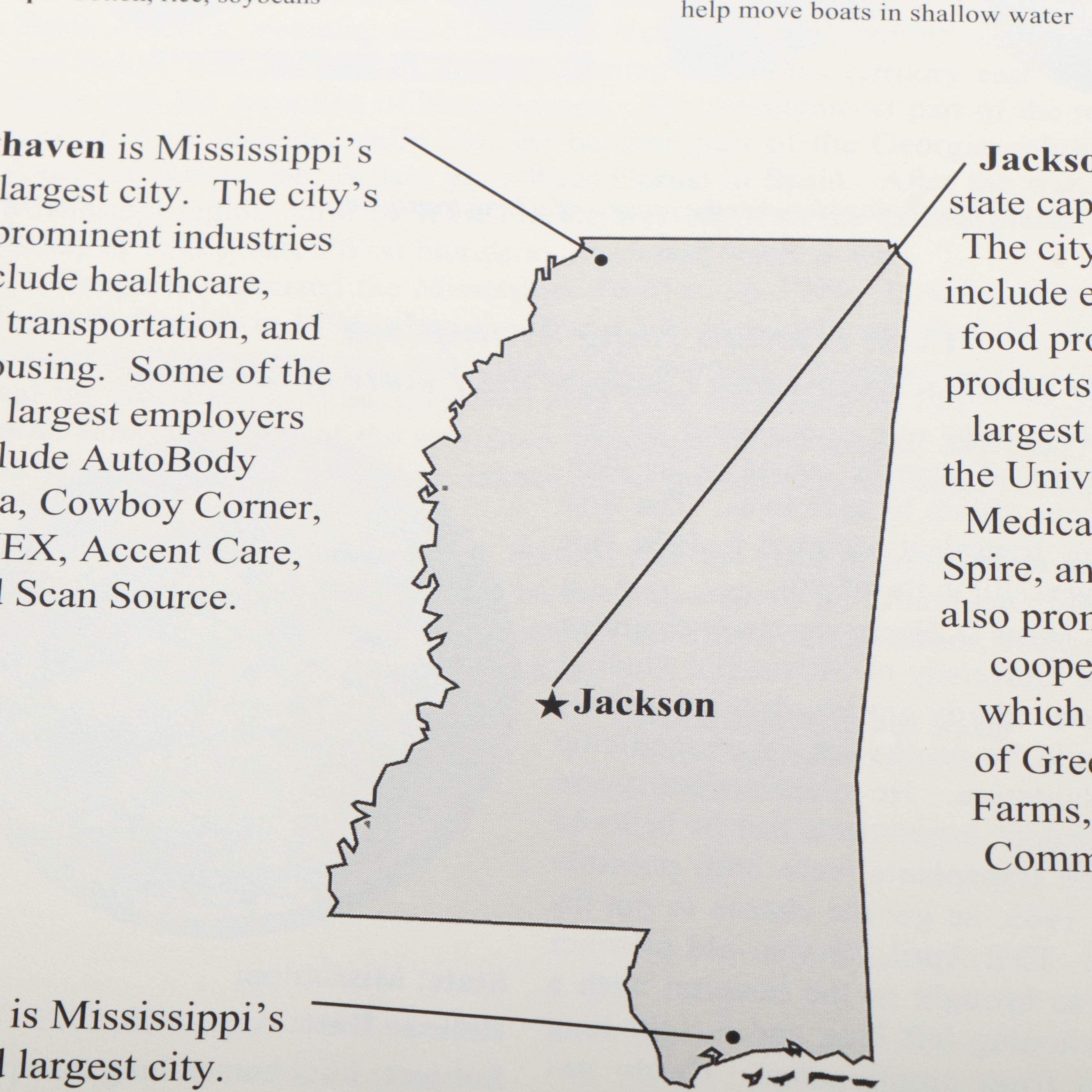 Collection of German Stamps, Year Sets, an Album, and Lots of German Mounts