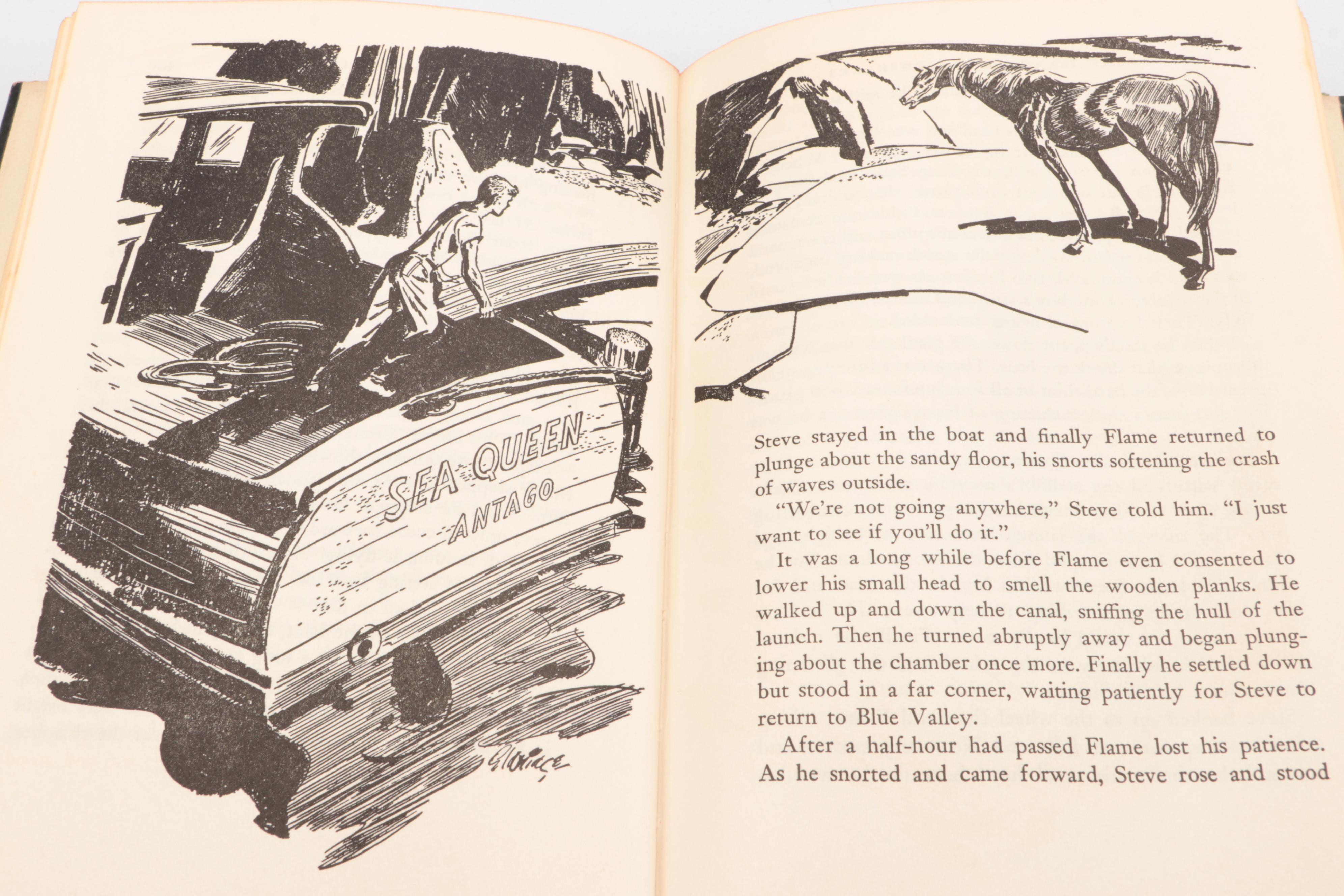 First Edition "The Island Stallion Races" by Walter Farley and More Horse Books