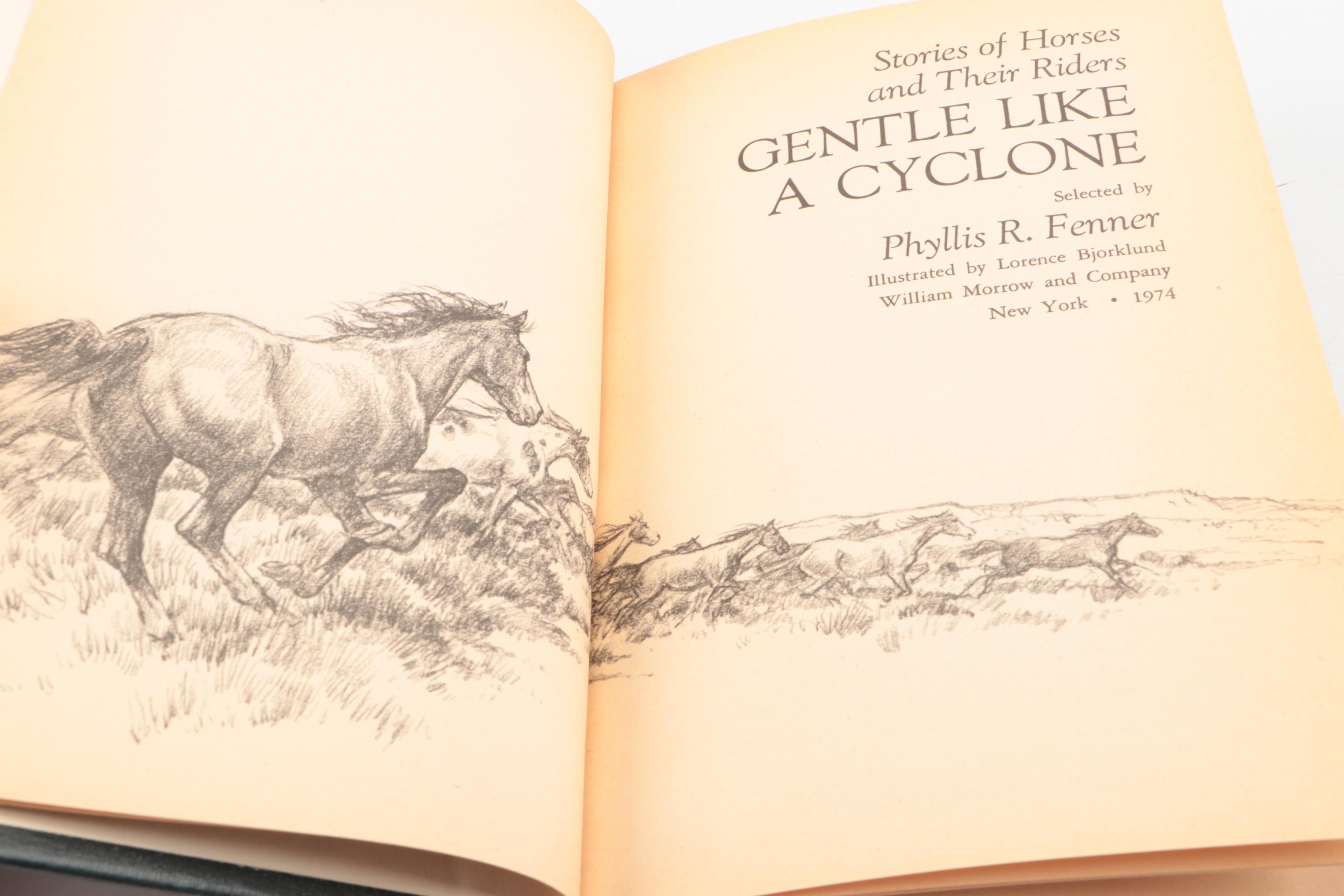 First Edition "The Island Stallion Races" by Walter Farley and More Horse Books