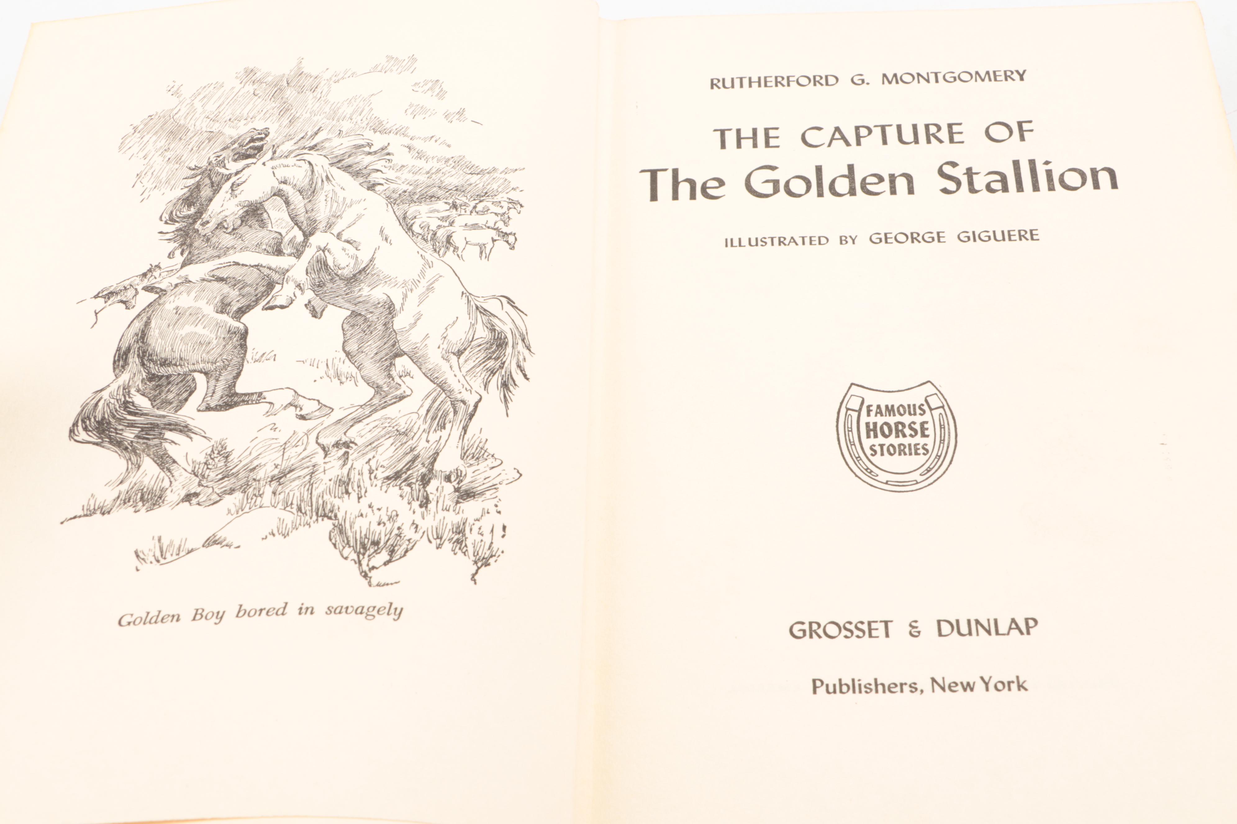 First Edition "The Island Stallion Races" by Walter Farley and More Horse Books