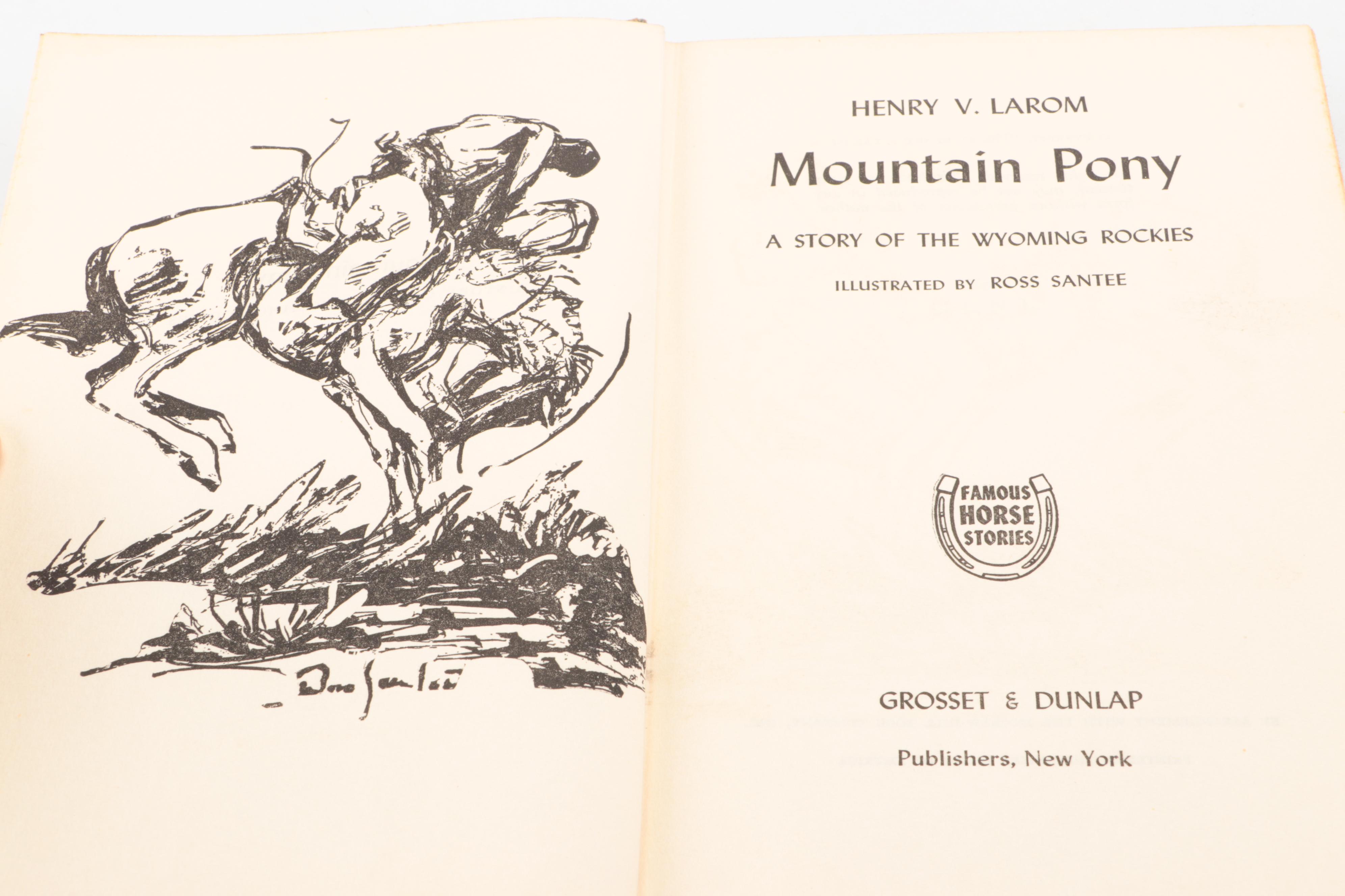 First Edition "The Island Stallion Races" by Walter Farley and More Horse Books