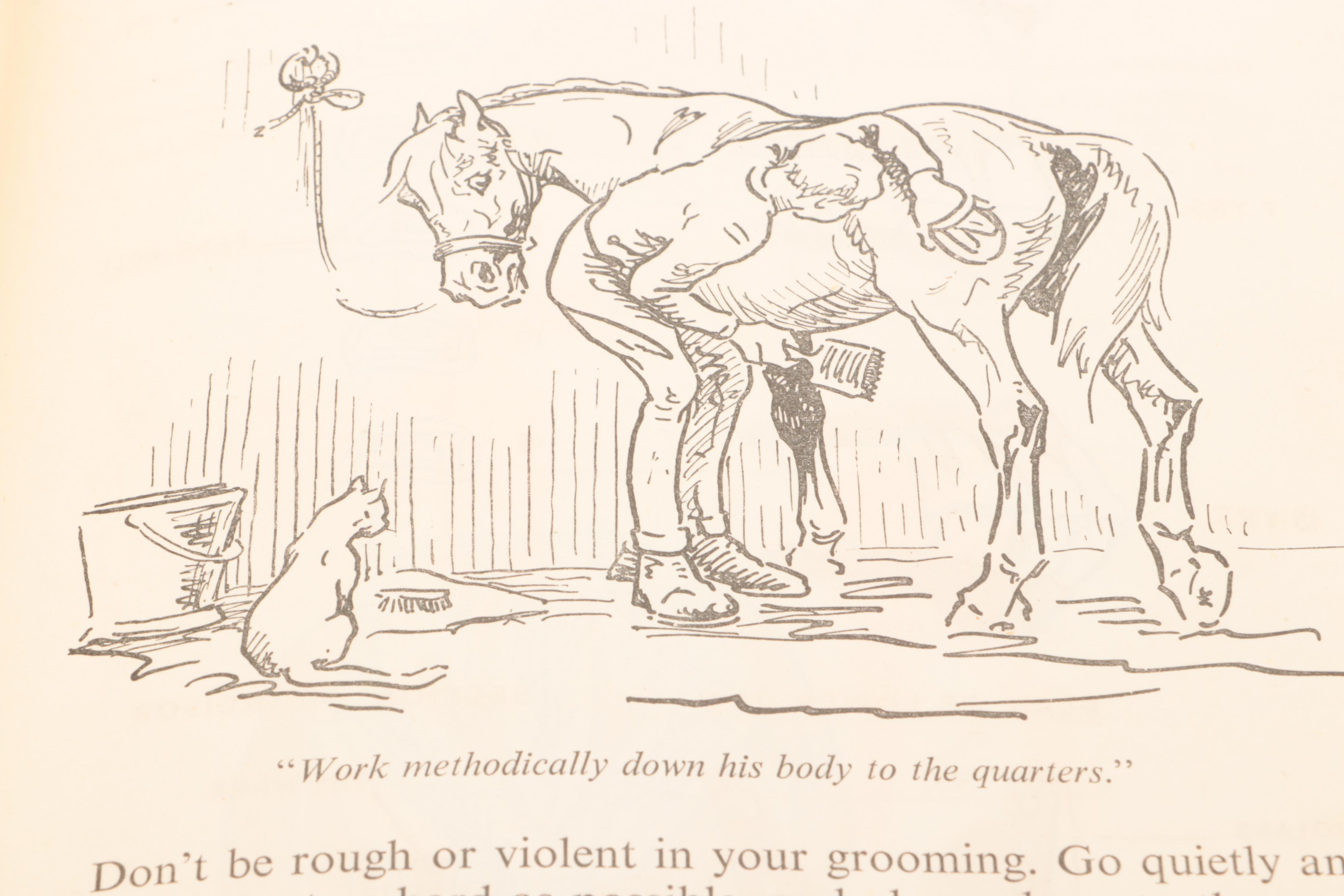 First Edition "The Island Stallion Races" by Walter Farley and More Horse Books