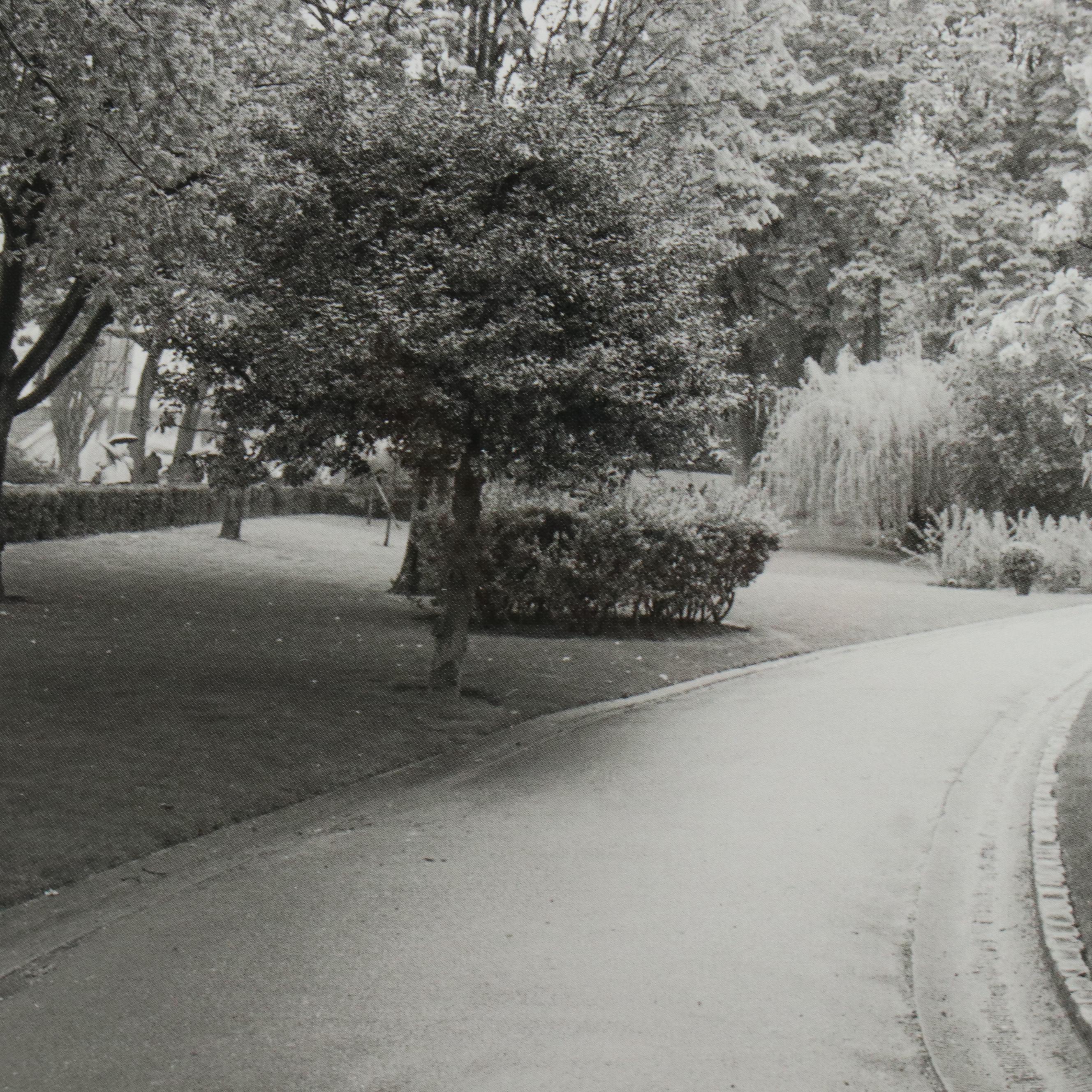 Black and White Offset Lithograph of Park Road with Blossoming Trees