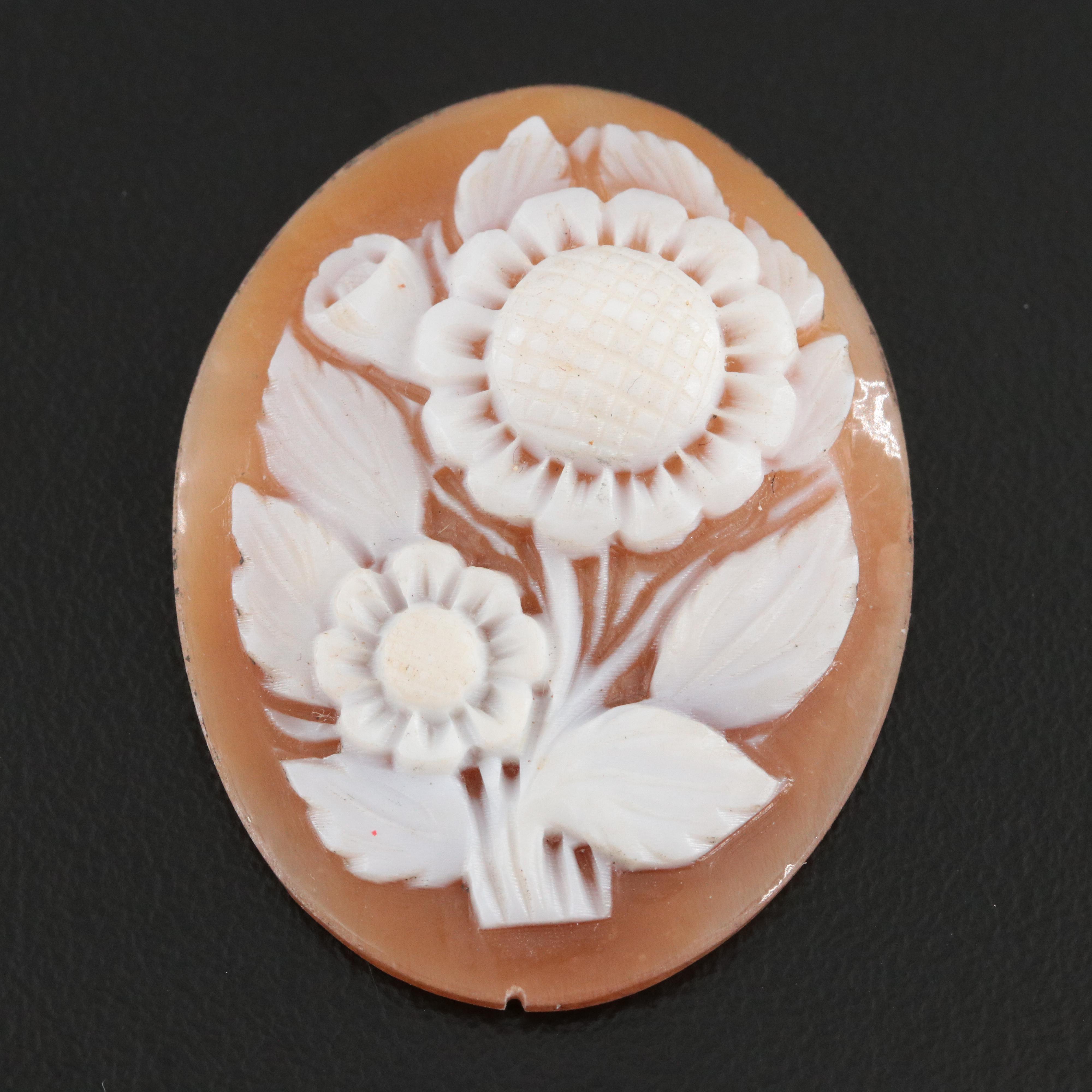 Loose Shell Cameo