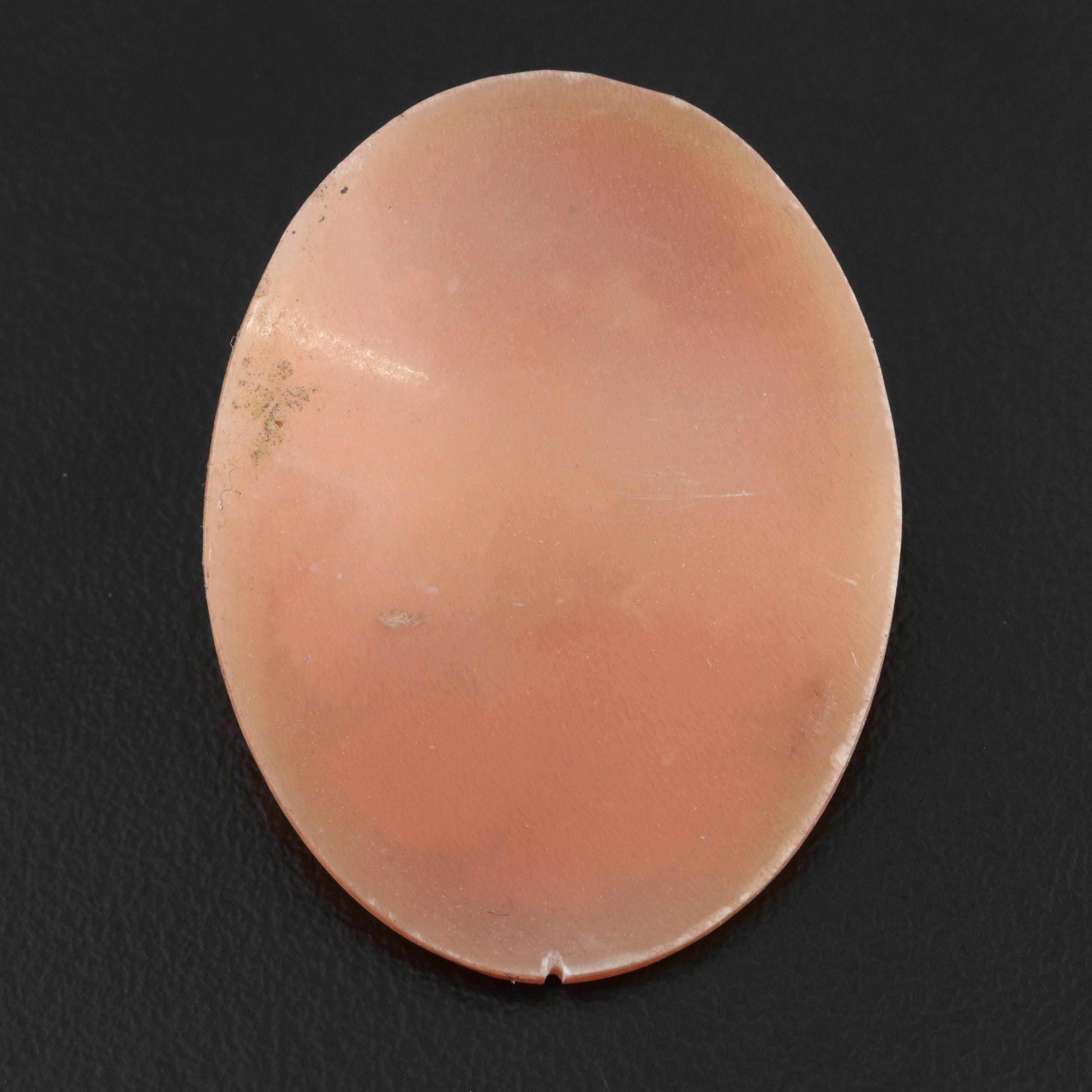 Loose Shell Cameo