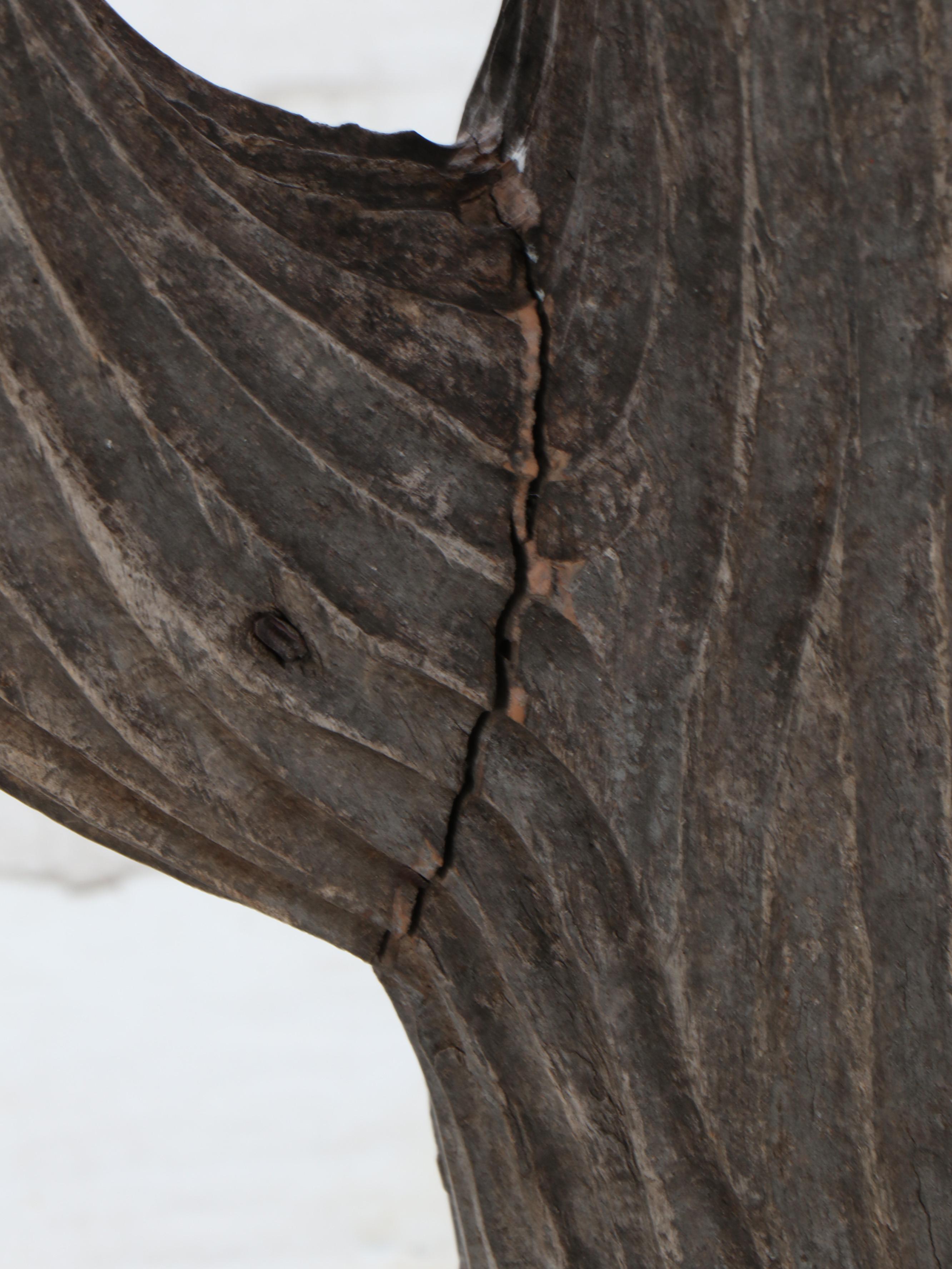 Hand-Carved Wooden Cactus with Tessellated Wood Pot