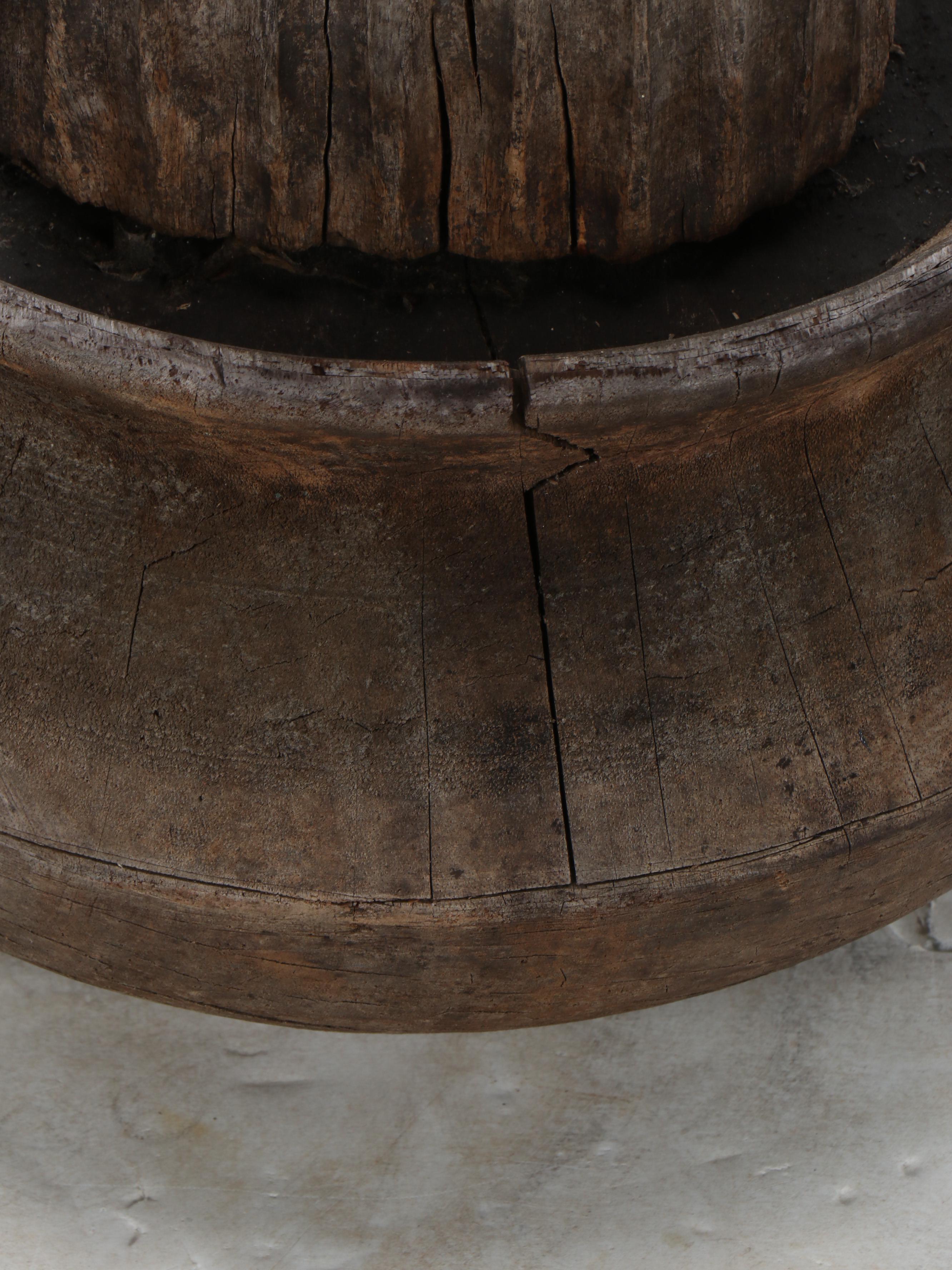 Hand-Carved Wooden Cactus with Tessellated Wood Pot