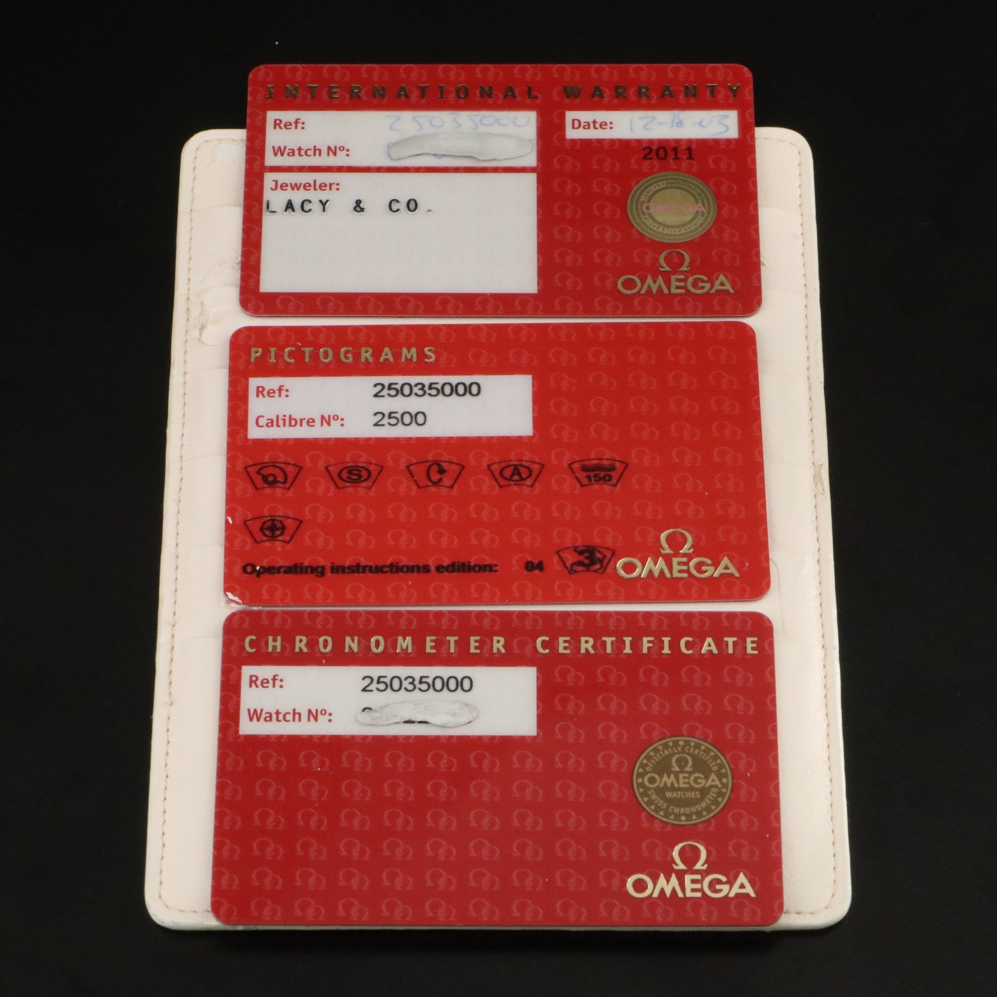 Omega Seamaster Aqua Terra Steel Watch 2503.50.00