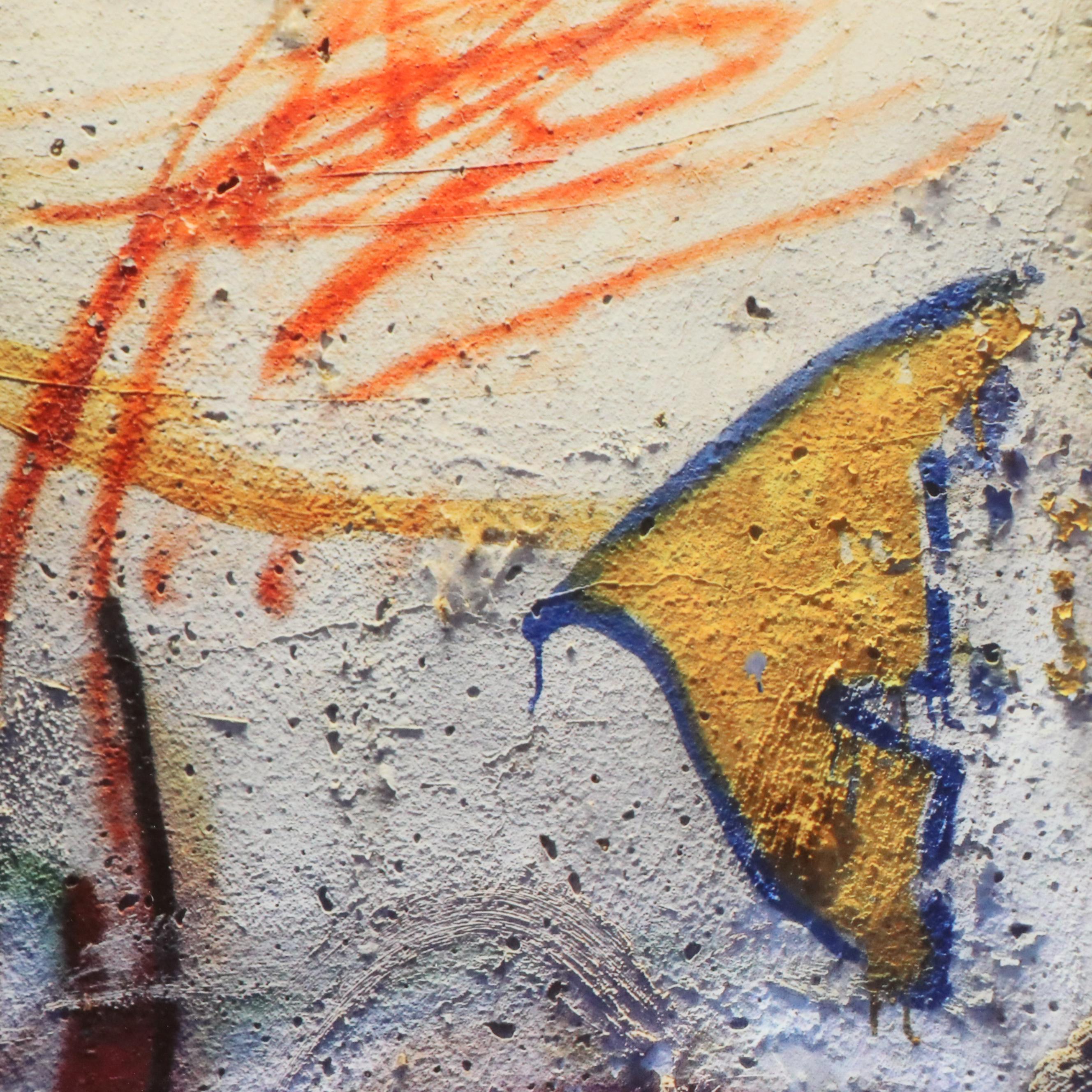 Audrey Ann Digital Photograph "Free at Last!," 21st Century