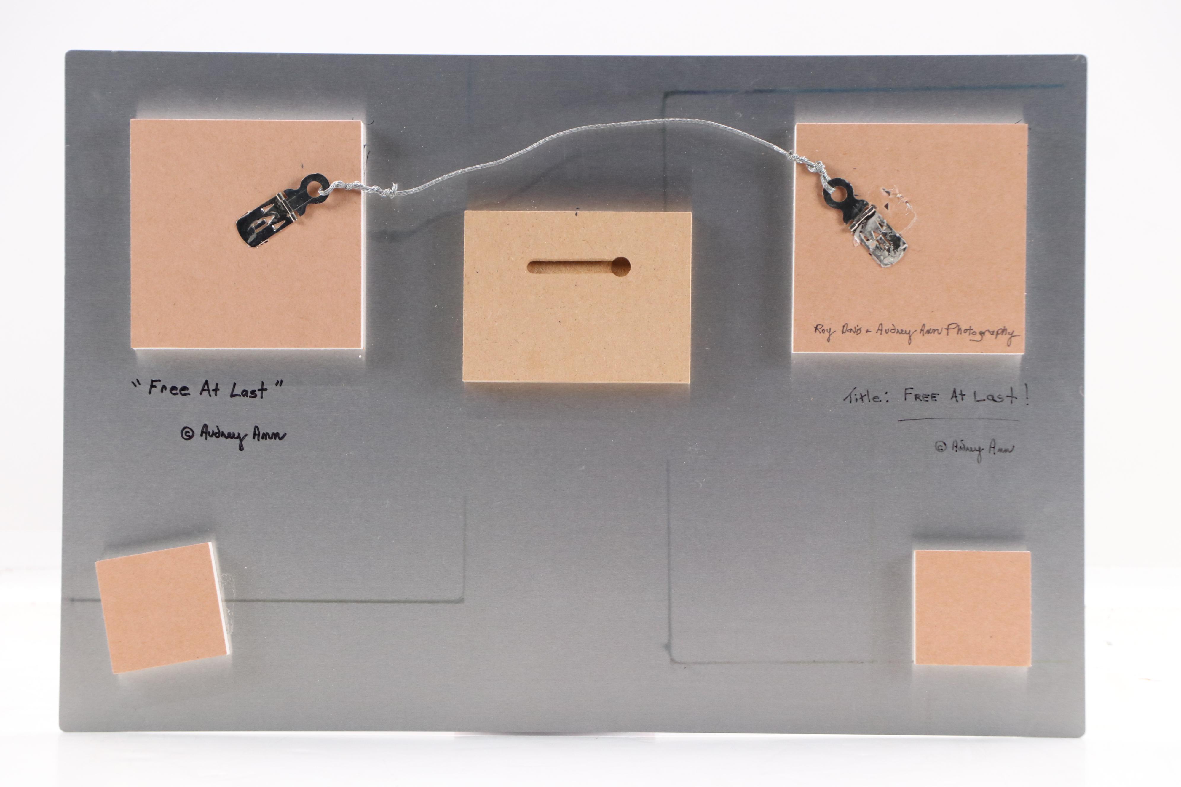 Audrey Ann Digital Photograph "Free at Last!," 21st Century