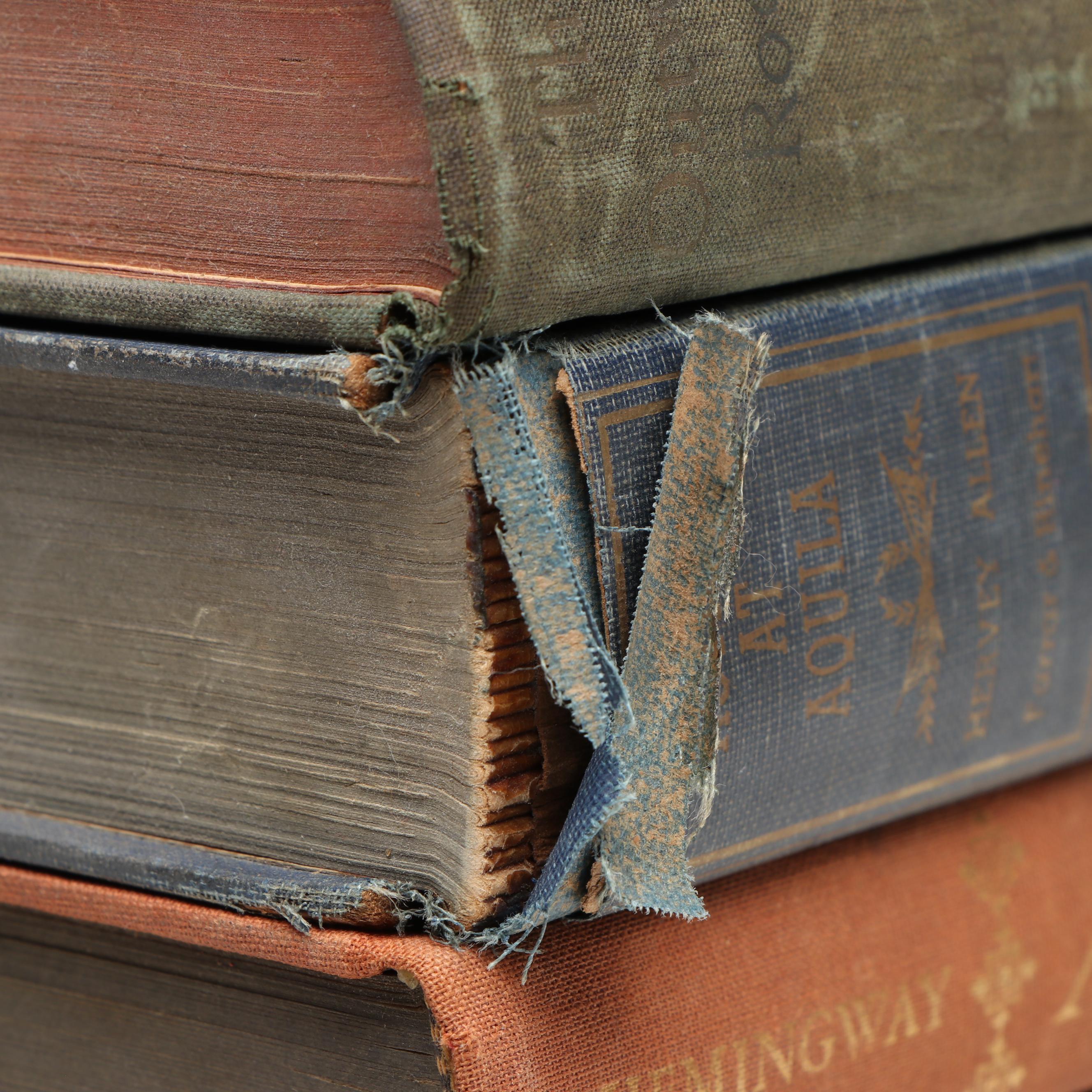 "Animal Farm," "The Wayward Bus," and More Vintage Books