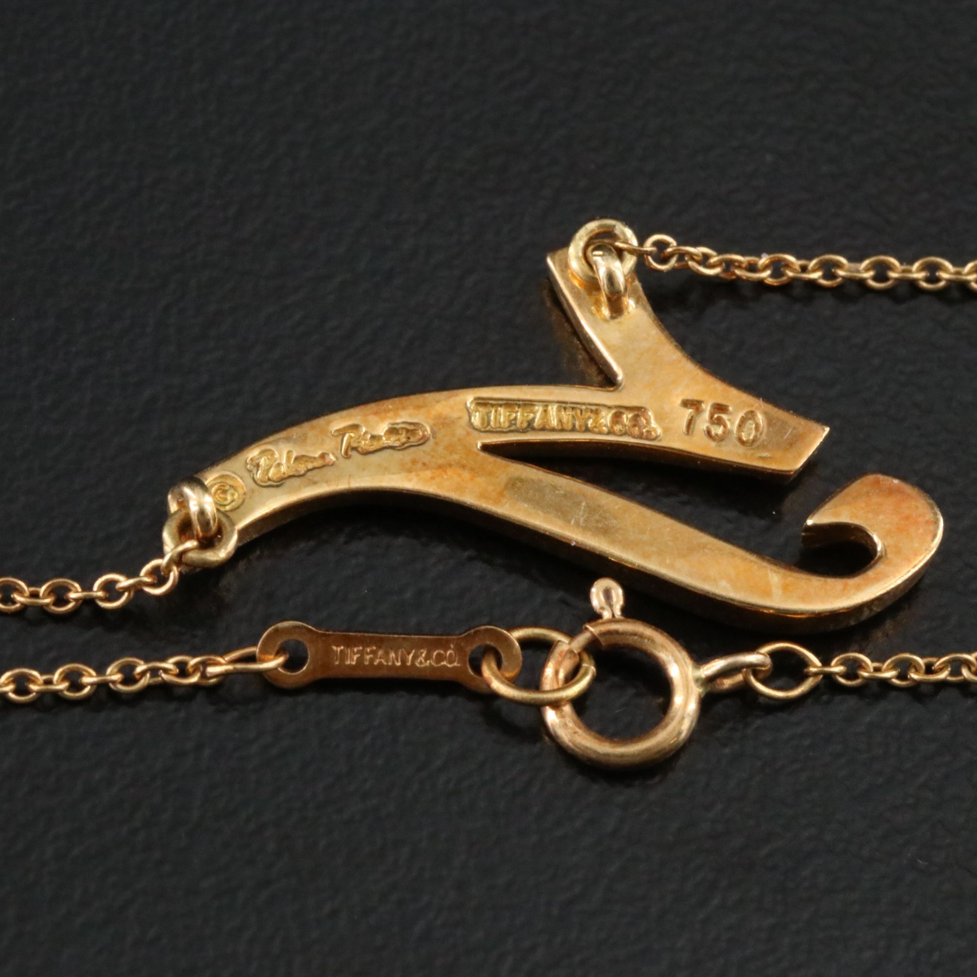 Paloma Picasso for Tiffany & Co. 18K Capricorn Zodiac Necklace