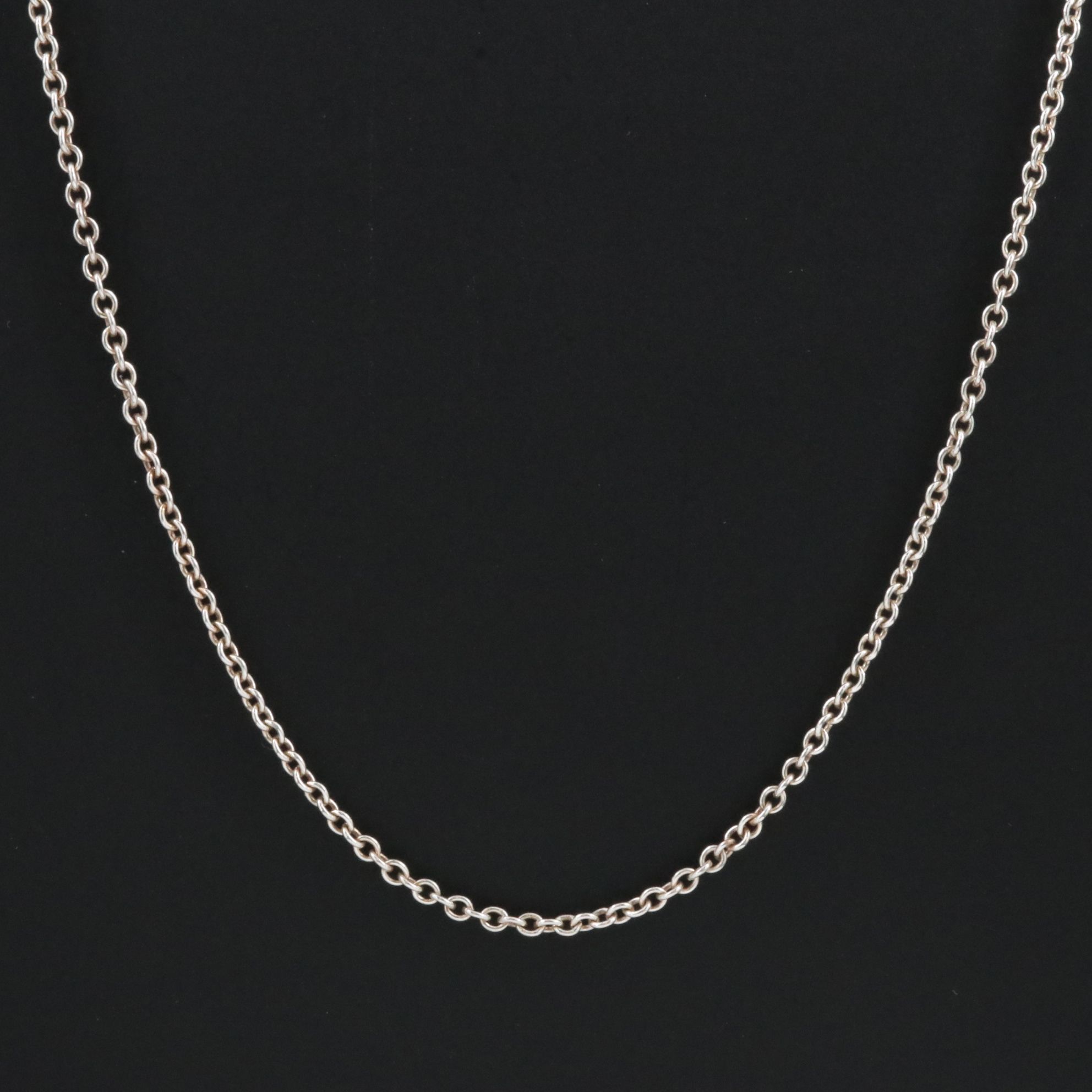 Elsa Peretti for Tiffany & Co. Sterling Rolo Chain Necklace