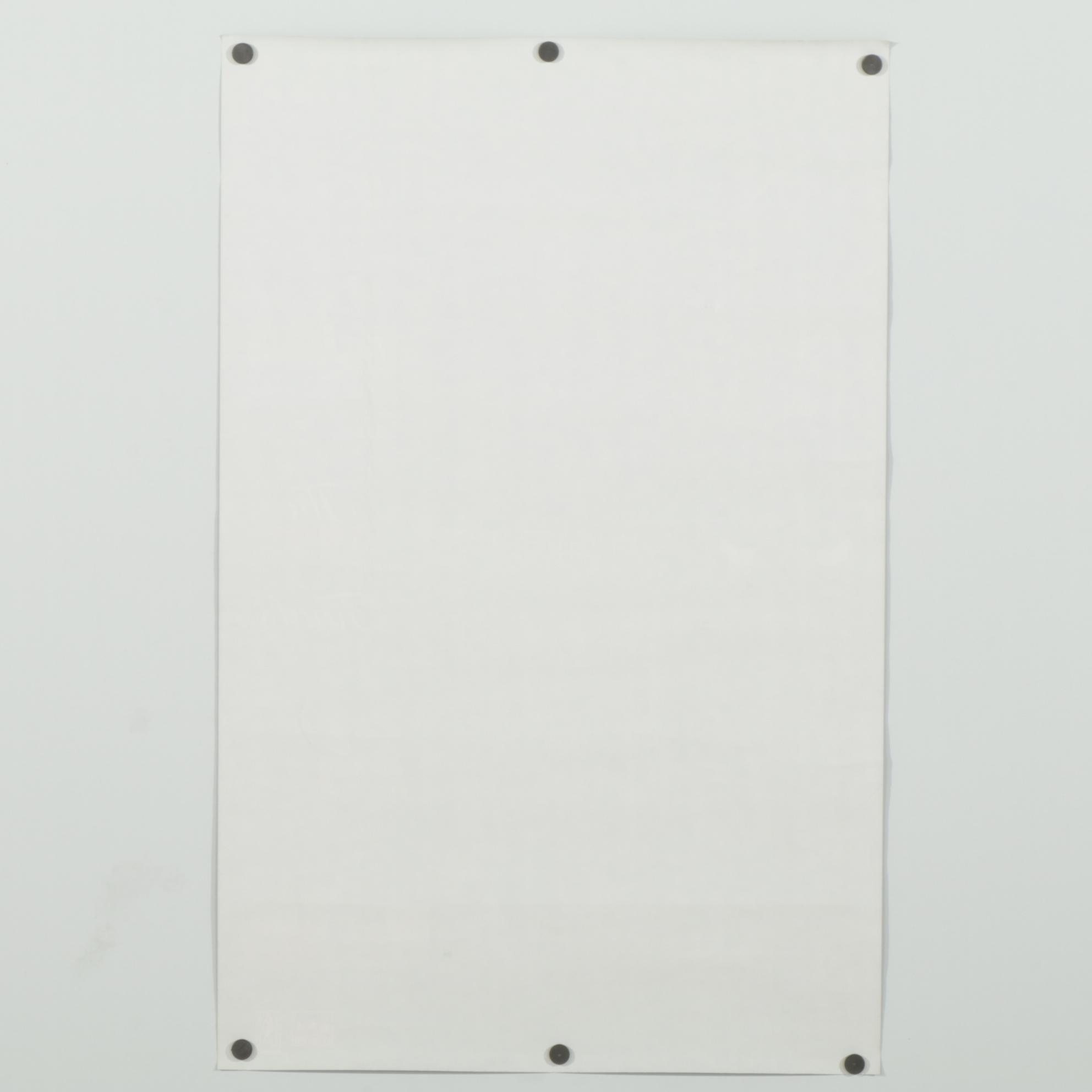 Chicago Bulls 1991 World Championship Offset Lithograph Poster, 1991