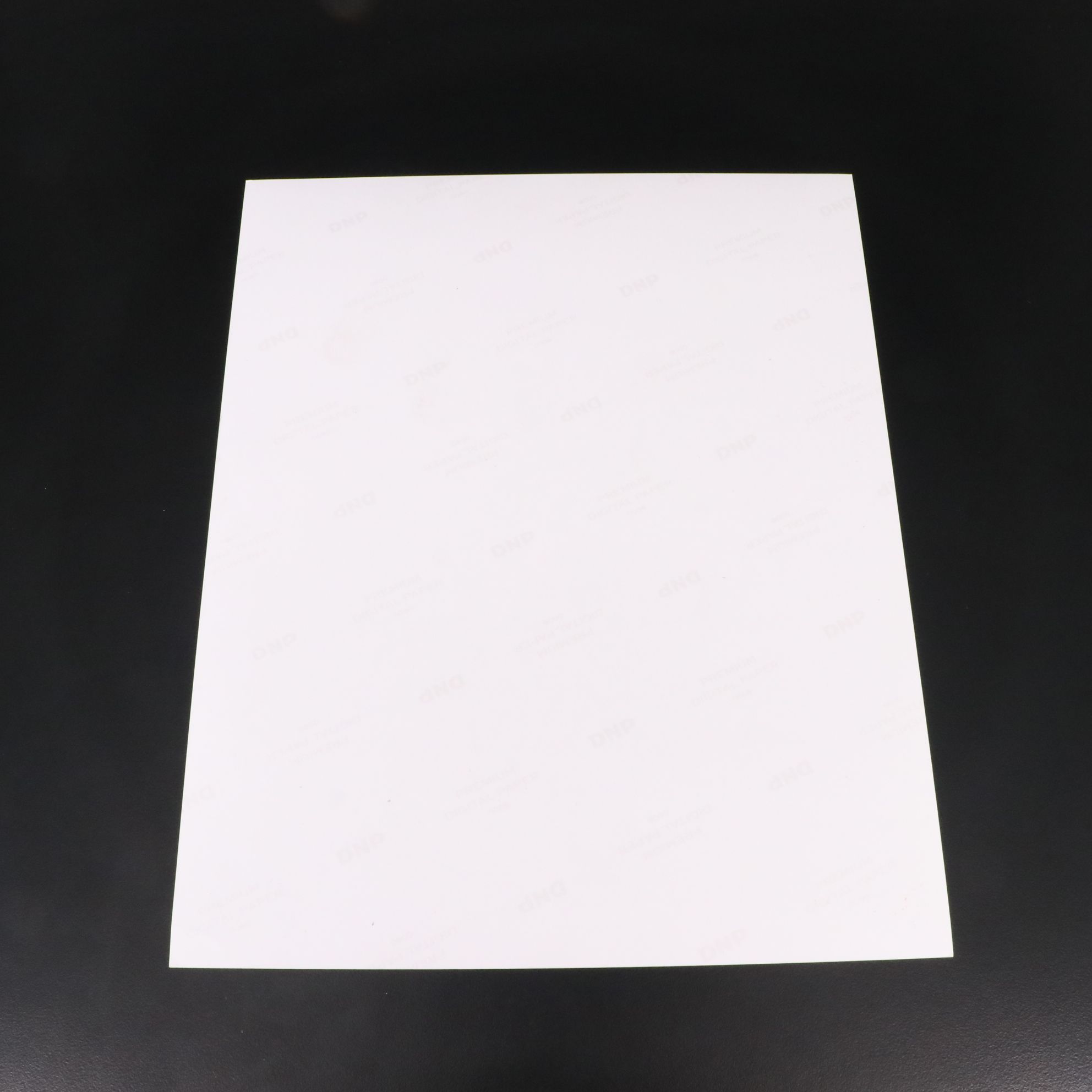 Barbara Eden Signed "I Dream of Jeannie" TV Print