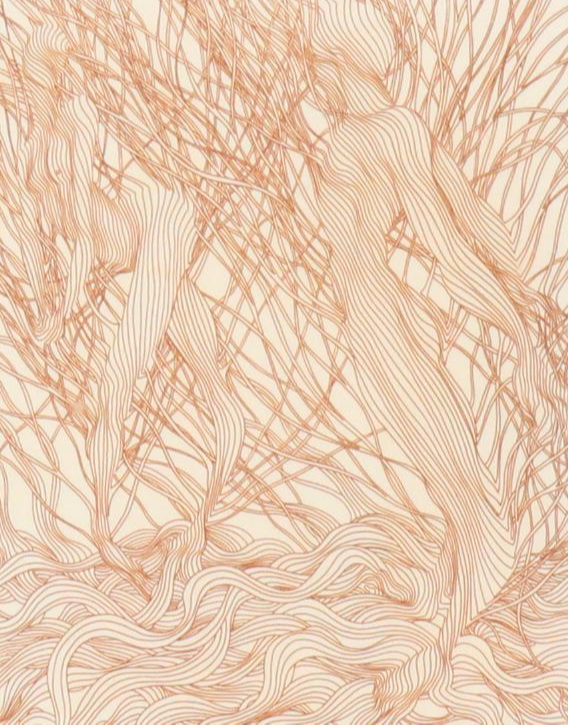 Guillame Azoulay Etching "Gracilistyla," Late 20th C.