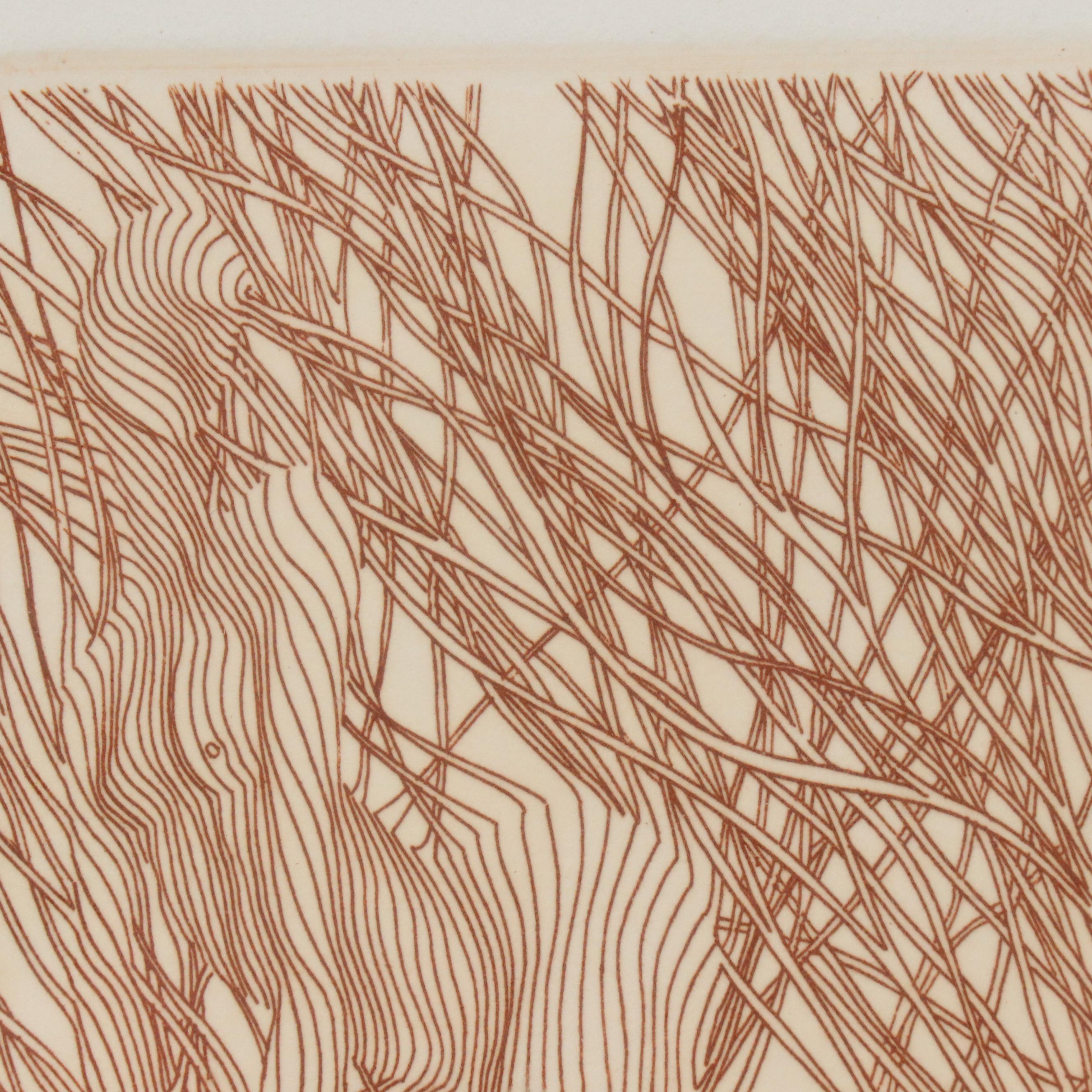 Guillame Azoulay Etching "Gracilistyla," Late 20th C.