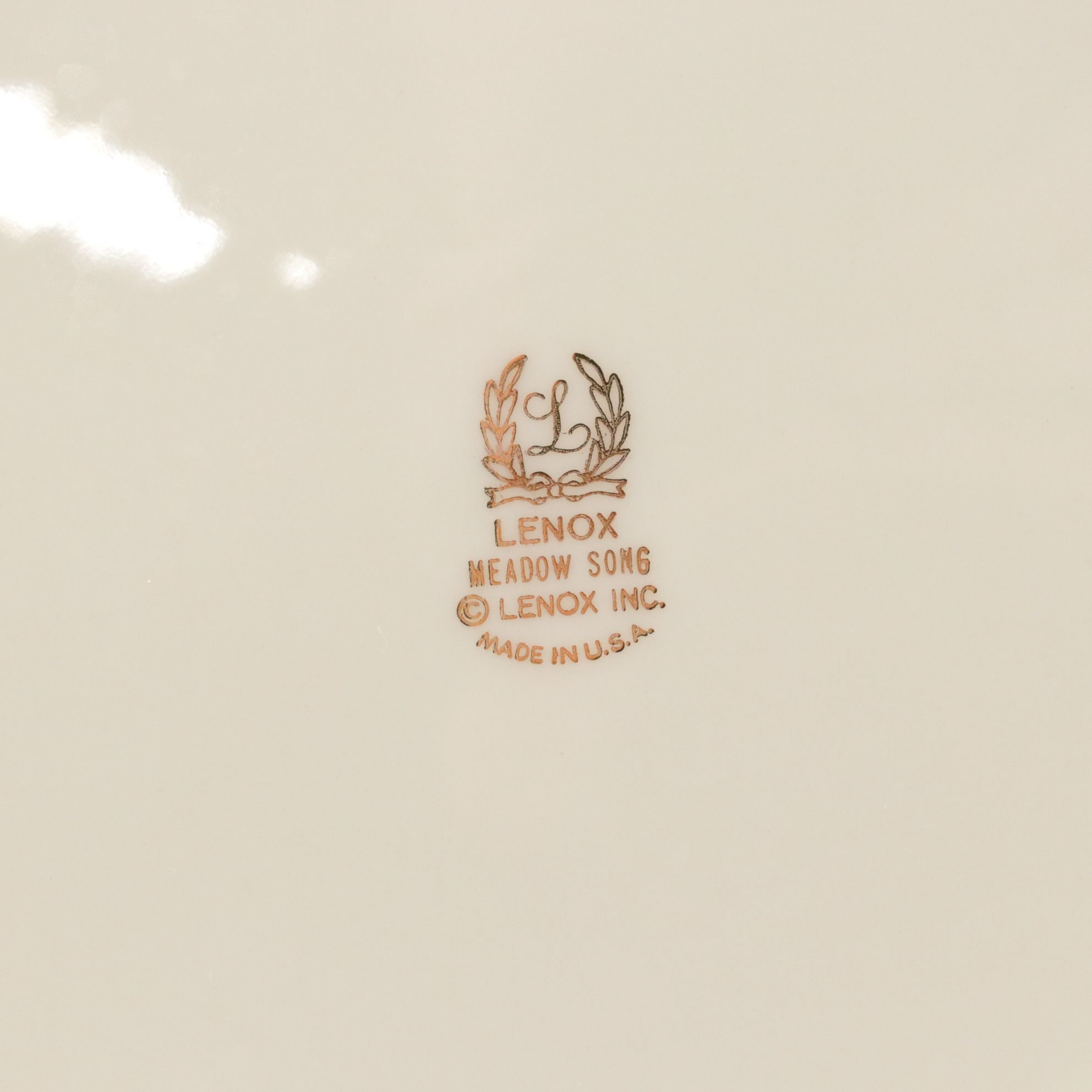 Hand-Painted Hobbyist Serving Platter & Other Plates, 1892