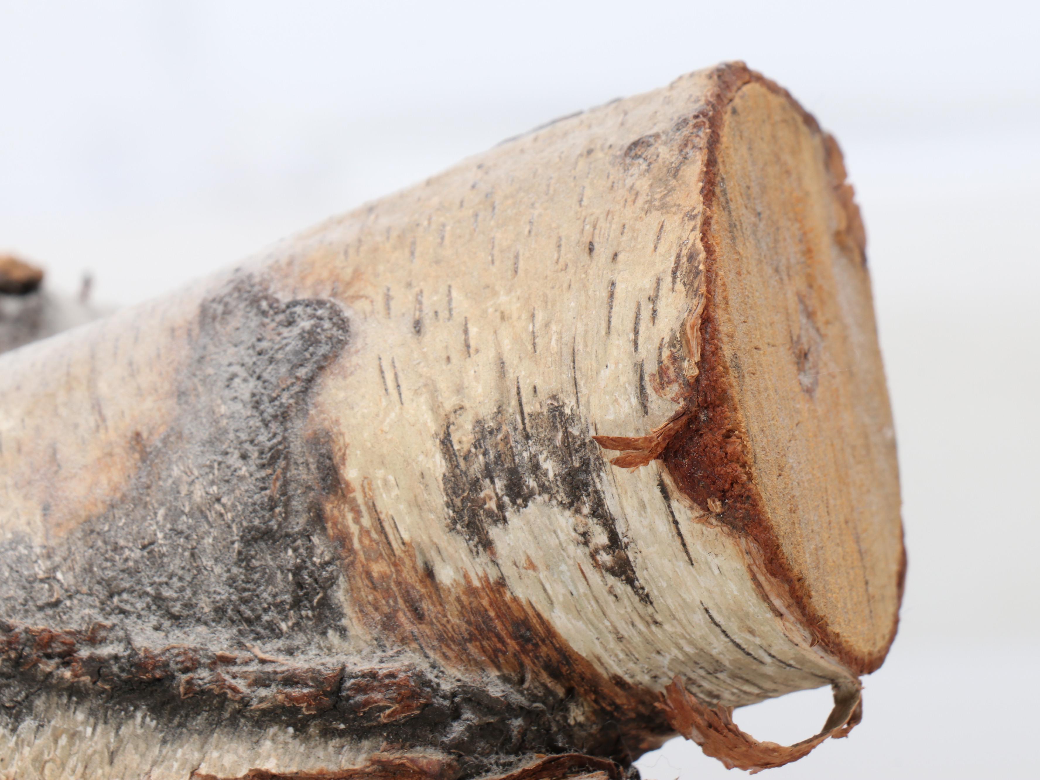 Birchwood Faux Fireplace Insert with Holder