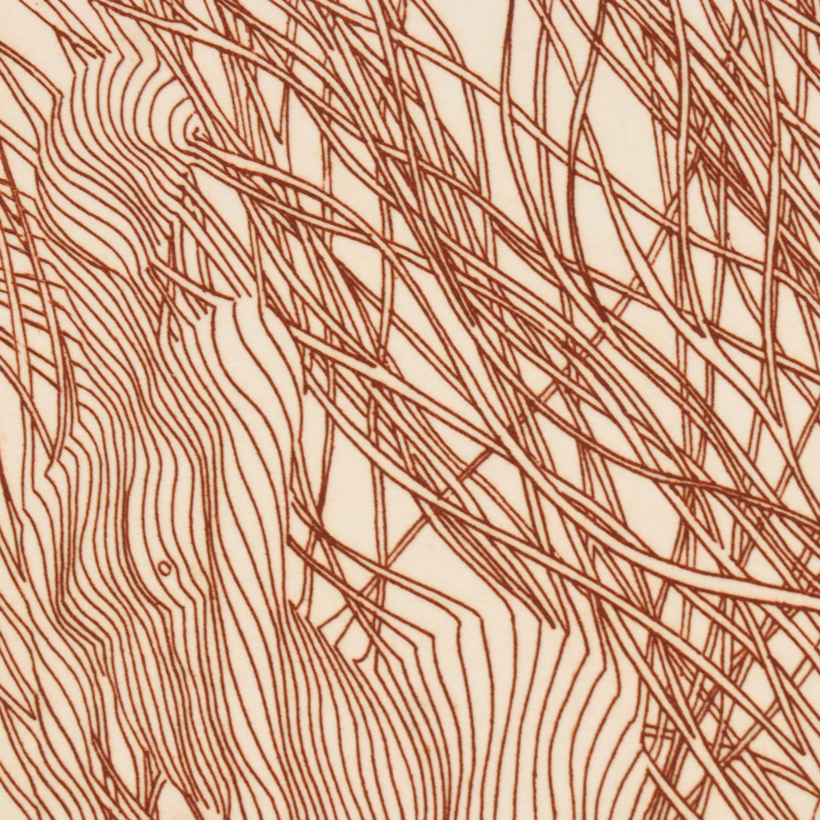 Guillame Azoulay Etching "Gracilistyla," Late 20th C.