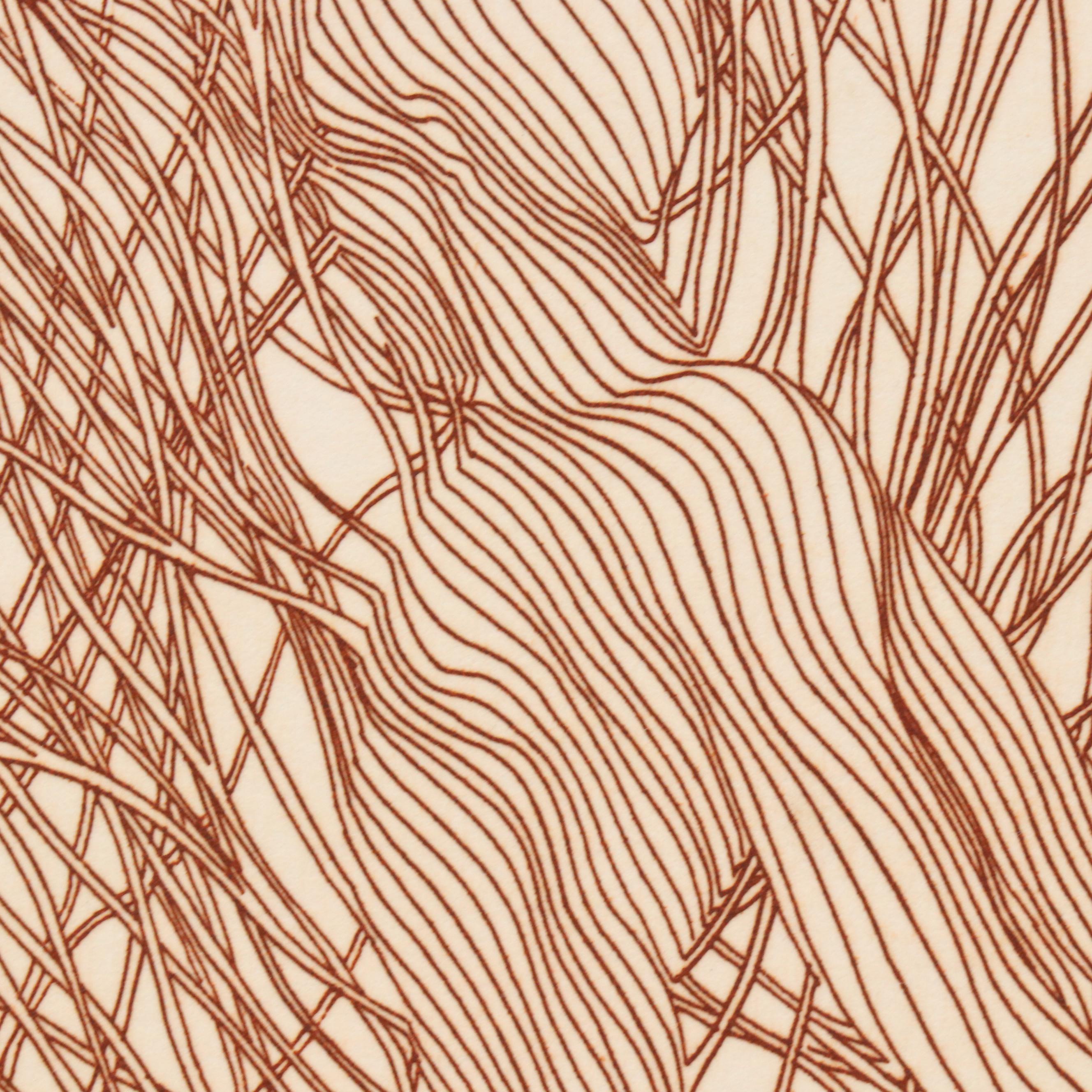 Guillame Azoulay Etching "Gracilistyla," Late 20th C.