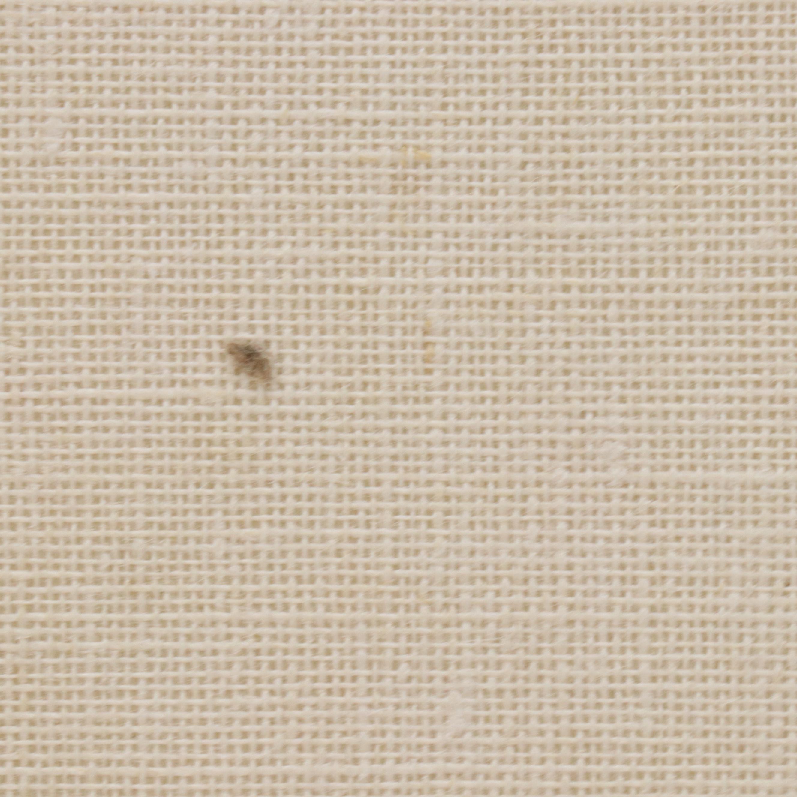 Guillame Azoulay Etching "Gracilistyla," Late 20th C.