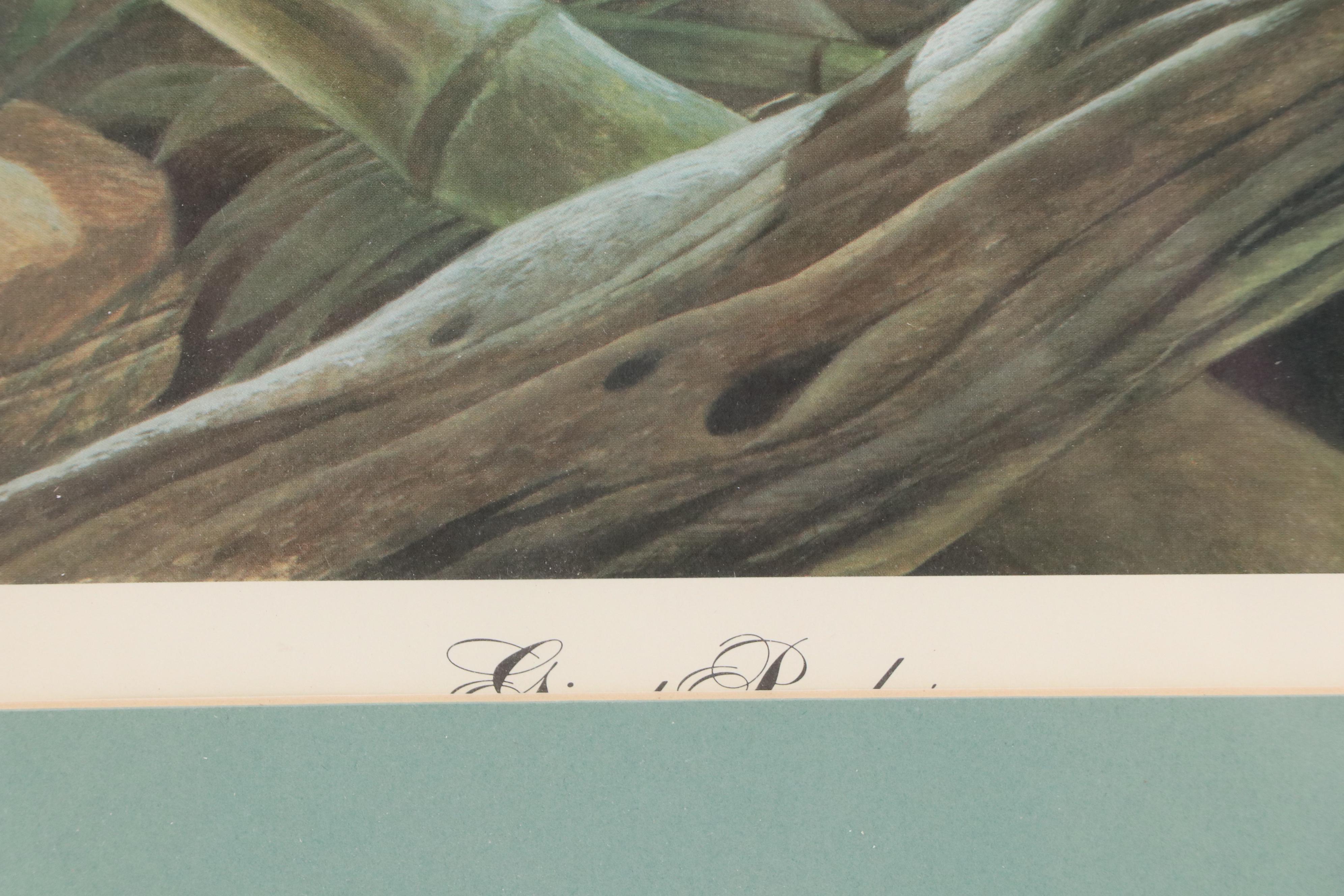 John A. Ruthven Offset Lithograph "Giant Panda"