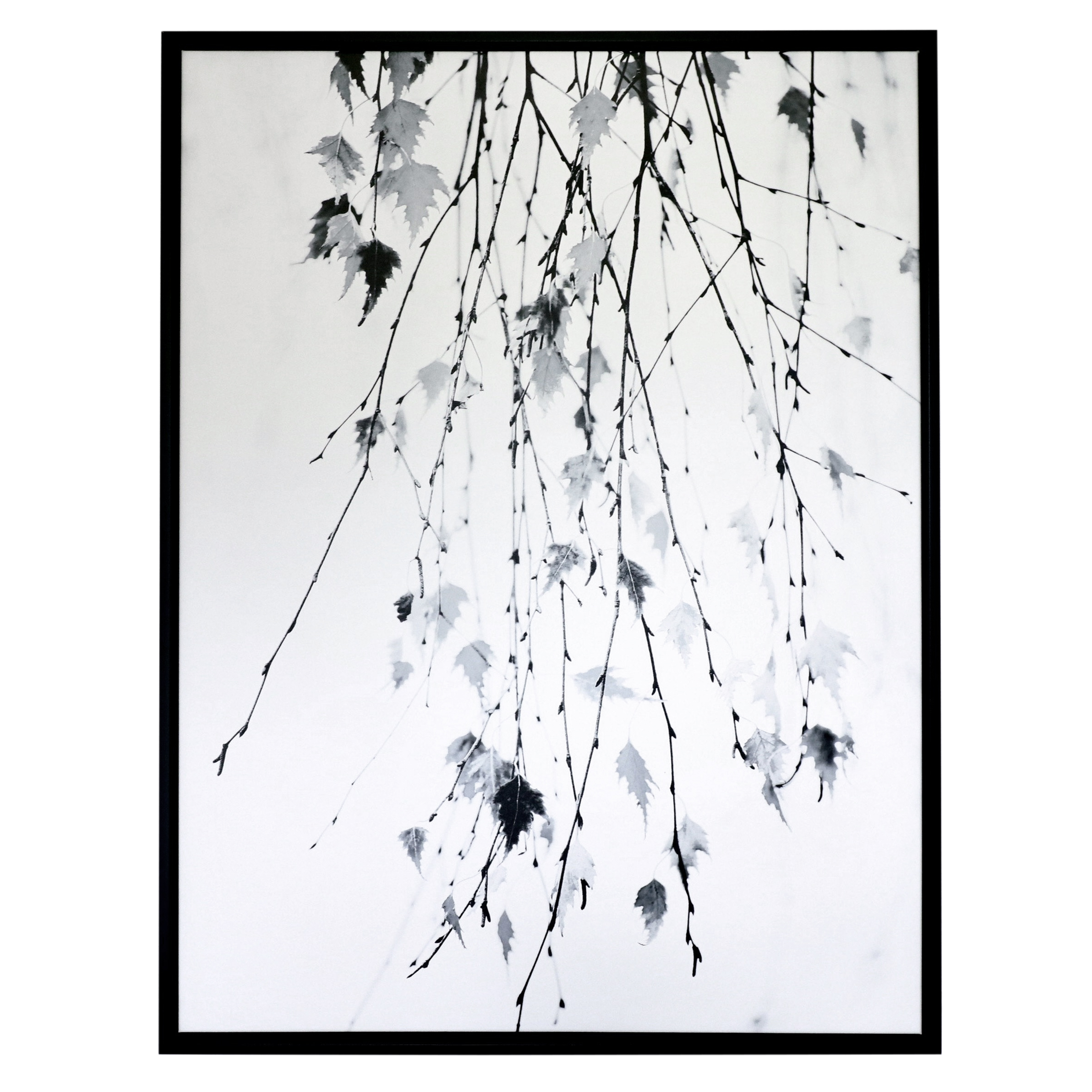 Giclée Prints "Subtle" and "Hanging" Branches After Rebecca Cozart