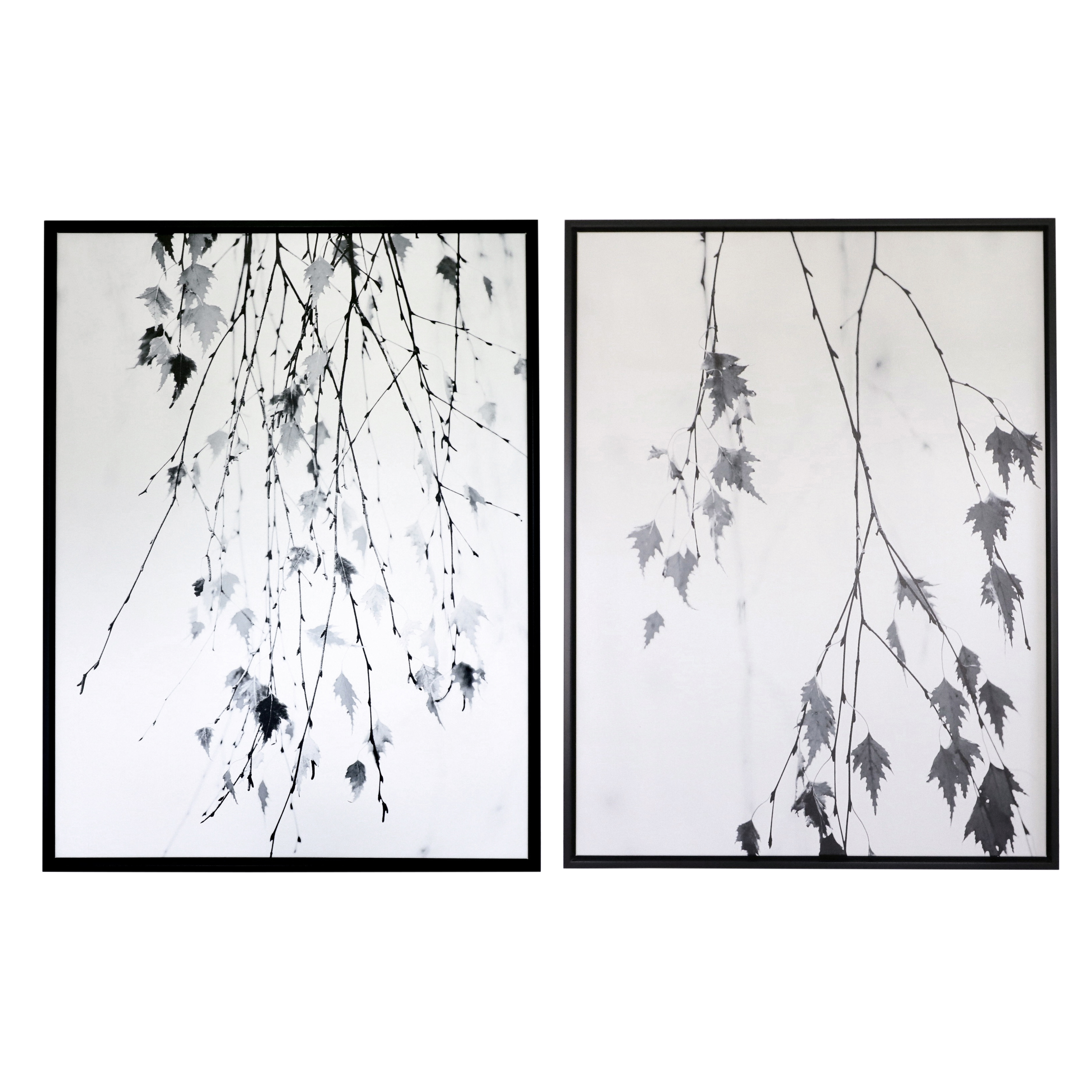 Giclée Prints "Subtle" and "Hanging" Branches After Rebecca Cozart